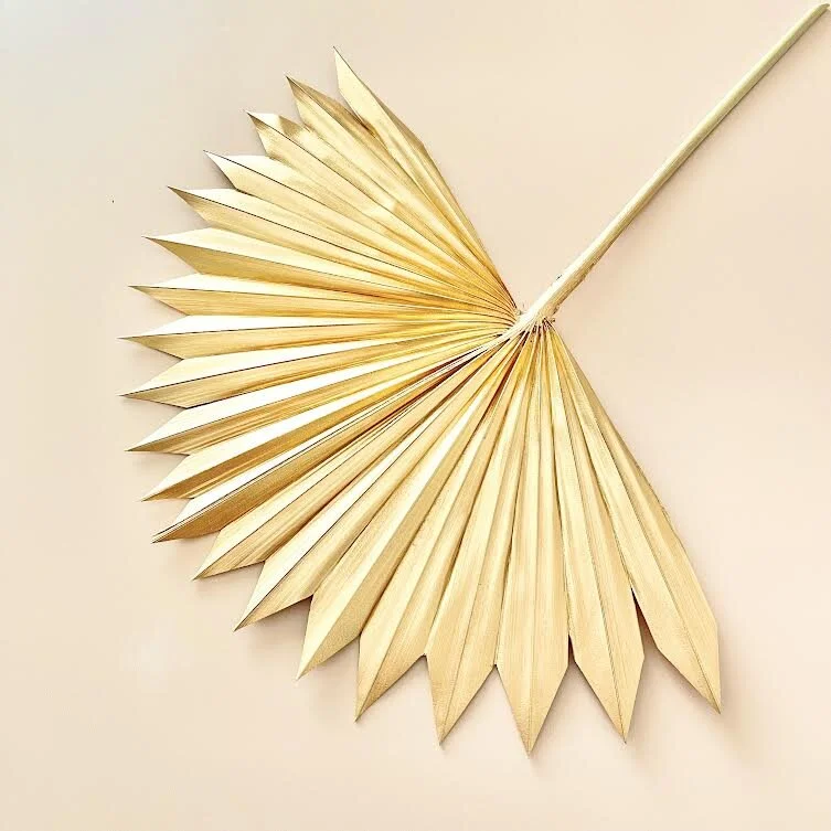 LARGE GOLDEN SUN PALM