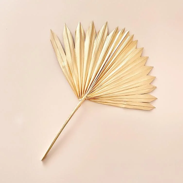 MINI GOLDEN SUN PALM