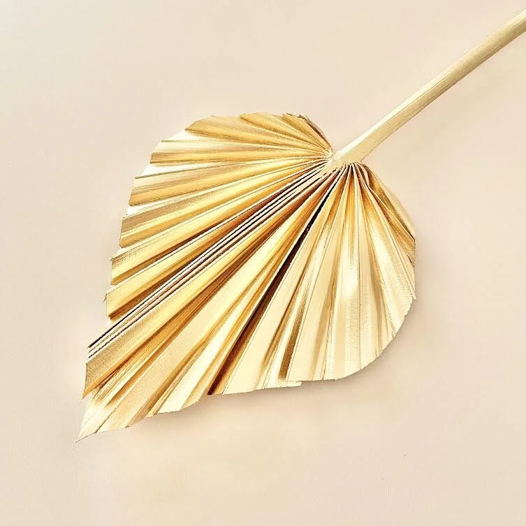 SINGLE GOLDEN SPEAR PALM