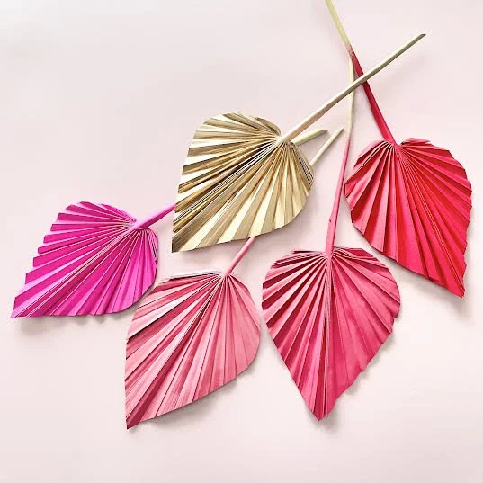 CERTIFIED LOVER SPEAR PALMS