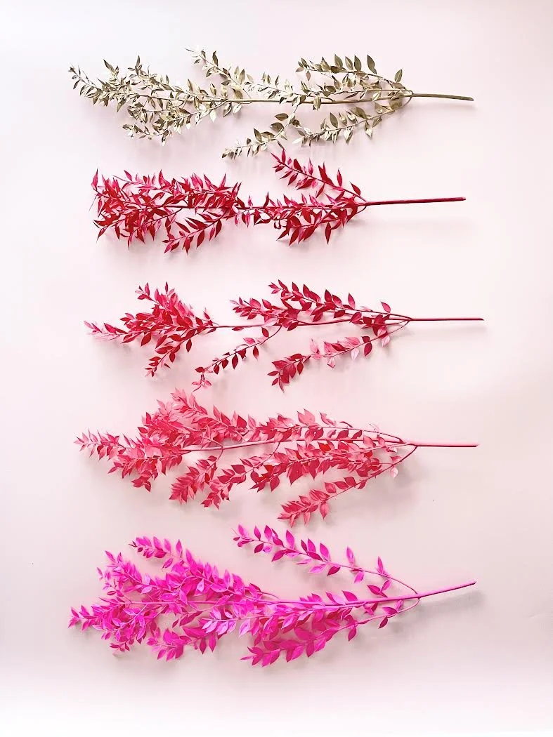 CERTIFIED LOVER RUSCUS FOLIAGE