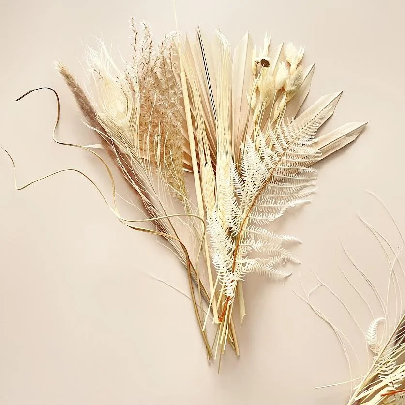 DESERT SANDS MINI SUN PALM BLOOMZ