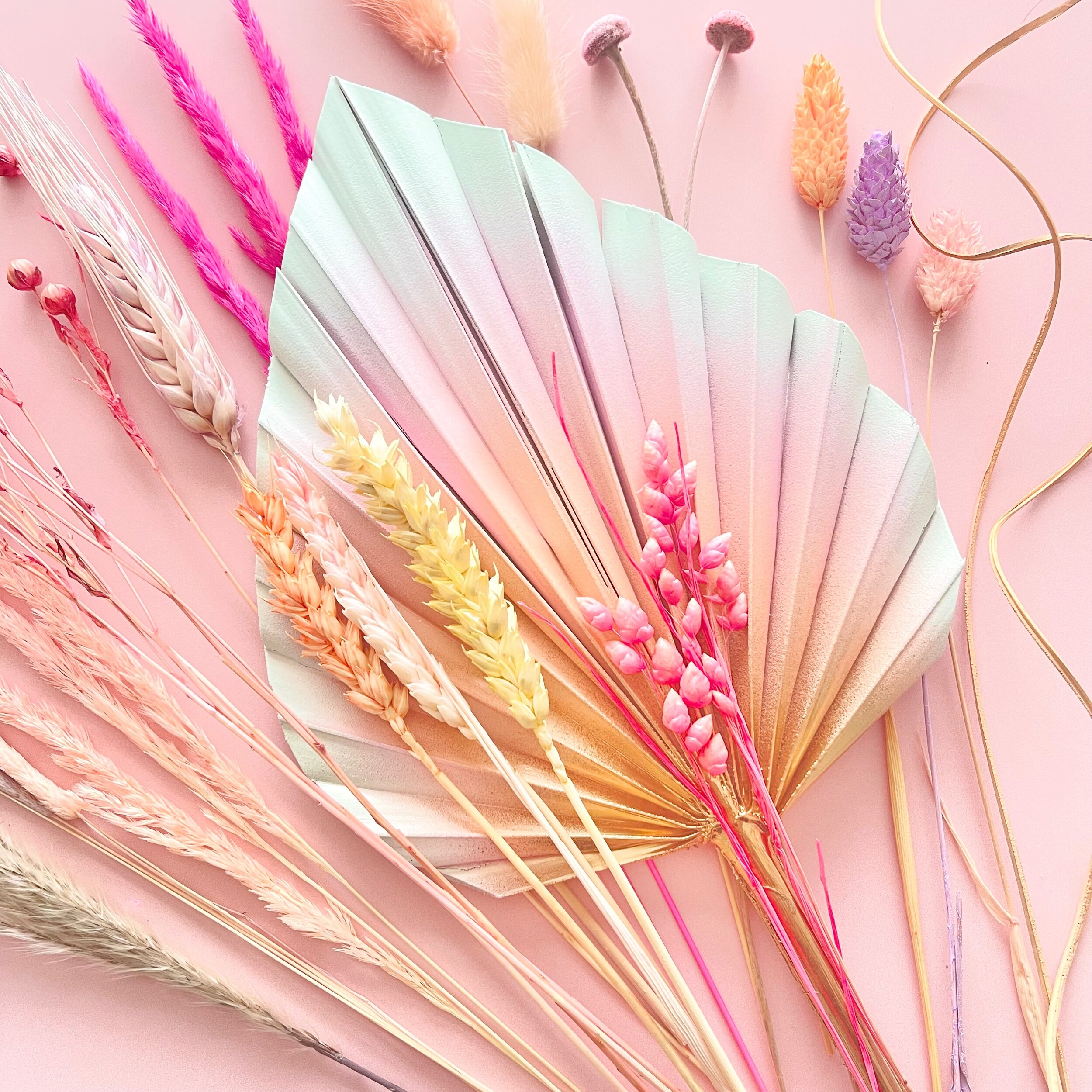 6E2B8EA6-0785-4235-9A06-904FEBA0F796