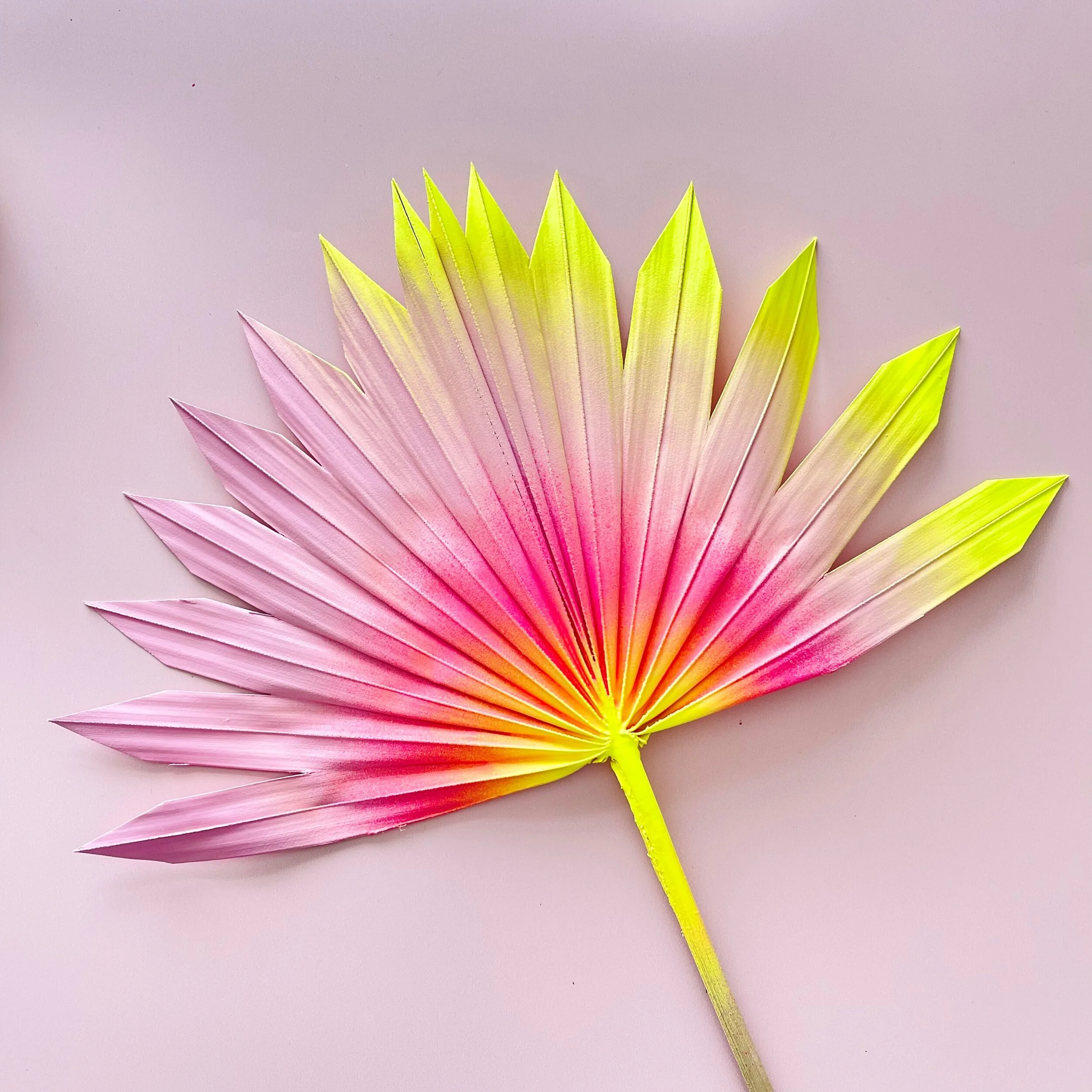 A35D1C16-BE6E-42F4-A0ED-730B9AD845BB