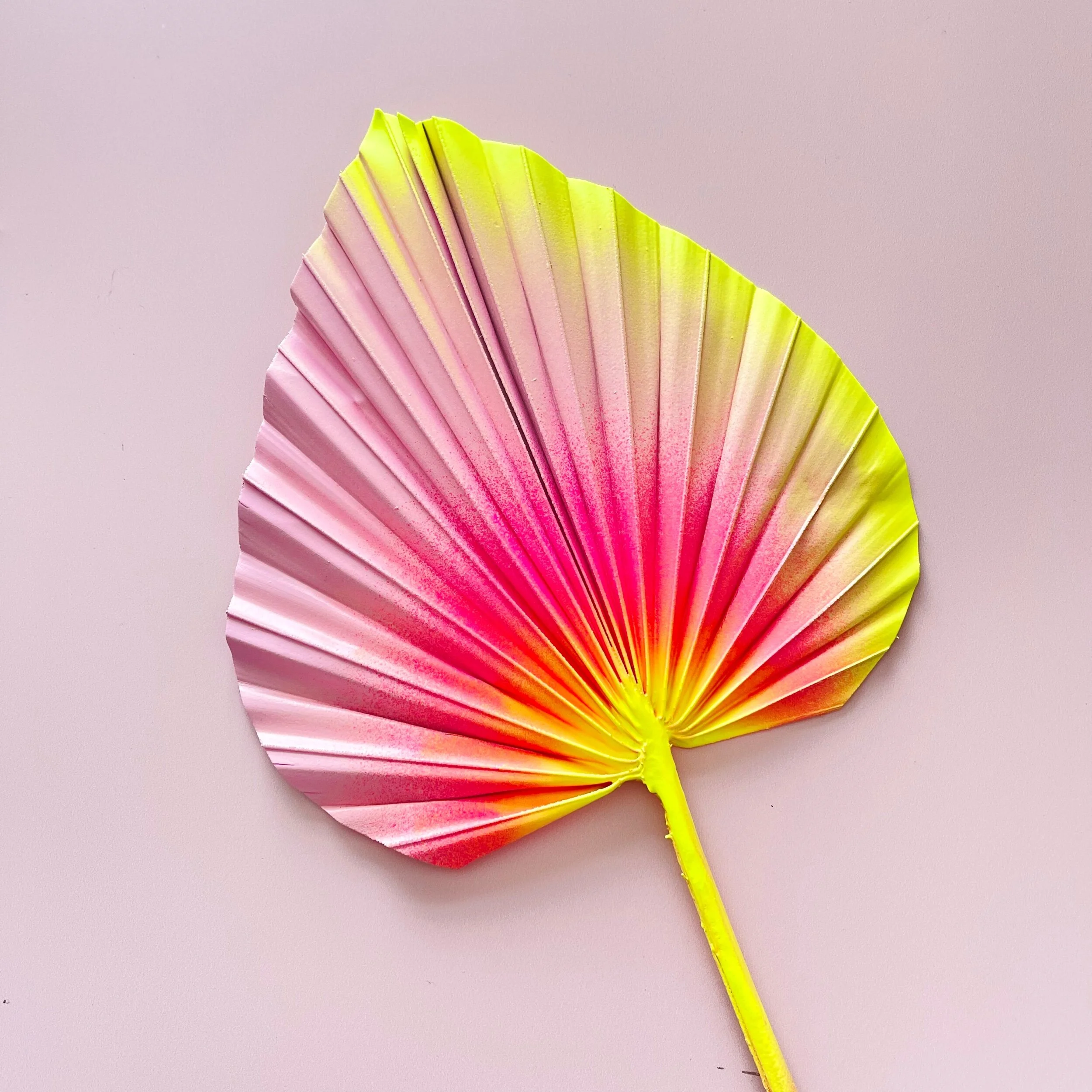 10FBB11B-1DA9-4700-9A50-EAD5940A7C0B