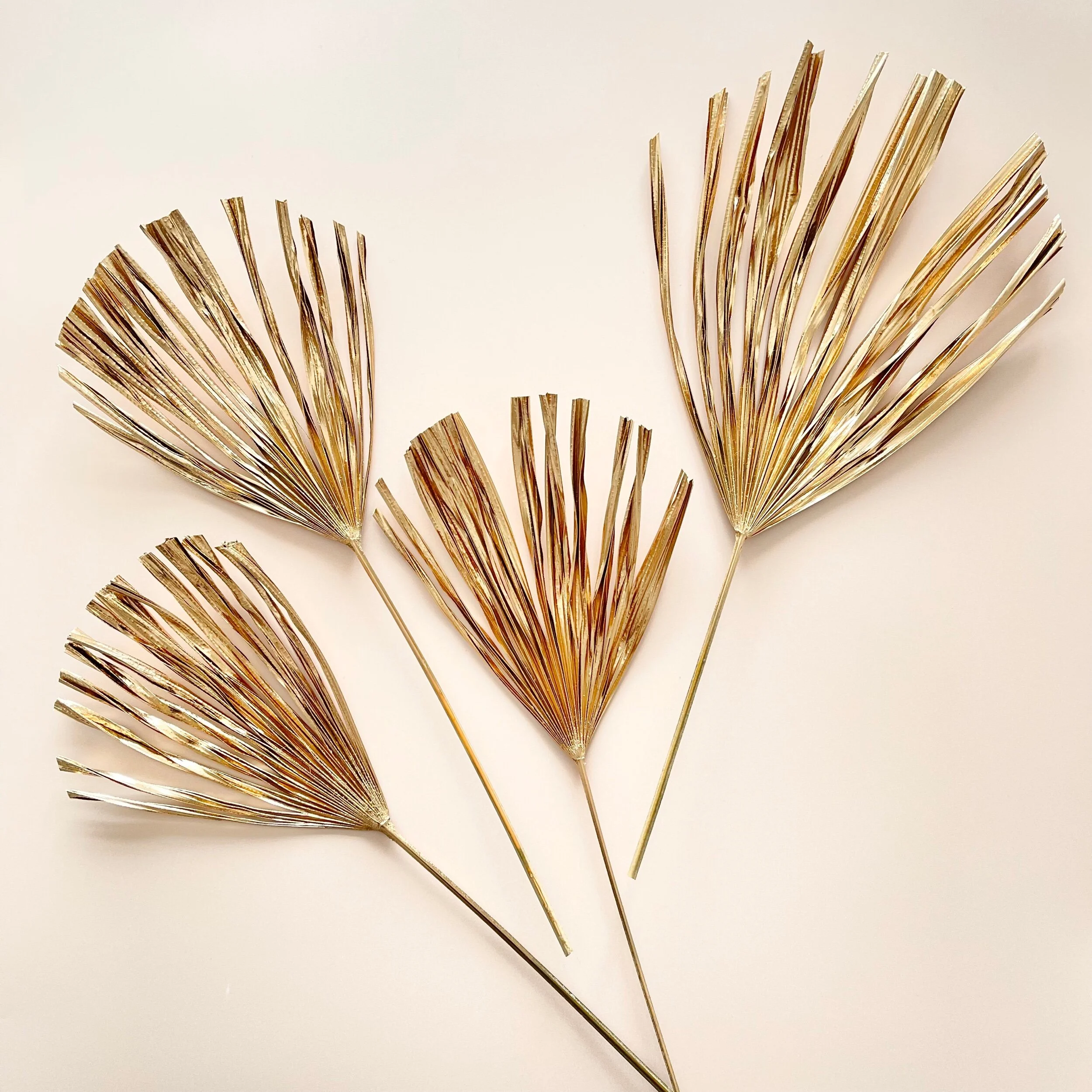 0D129861-13BA-4635-9E41-999E65512CDF