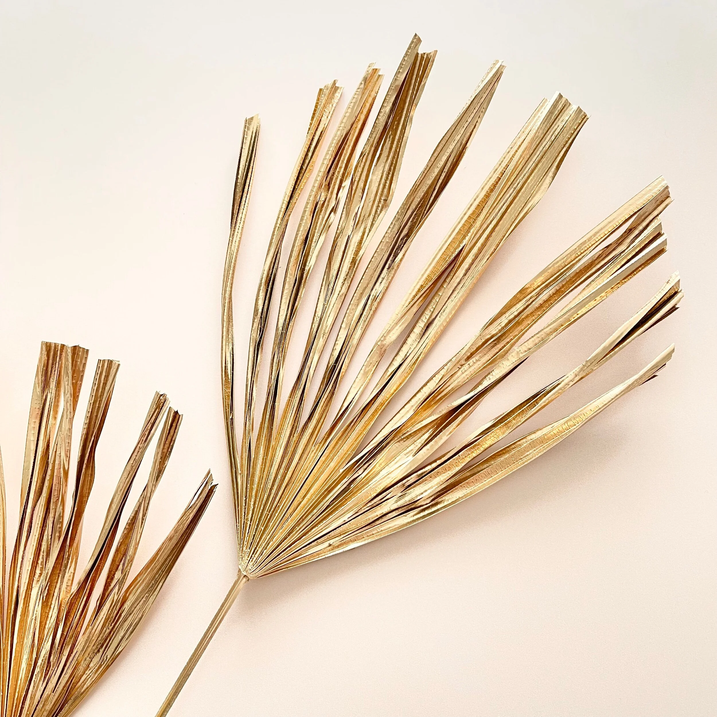 B85F4295-A5CE-4817-AFF9-61B9EF4953C1