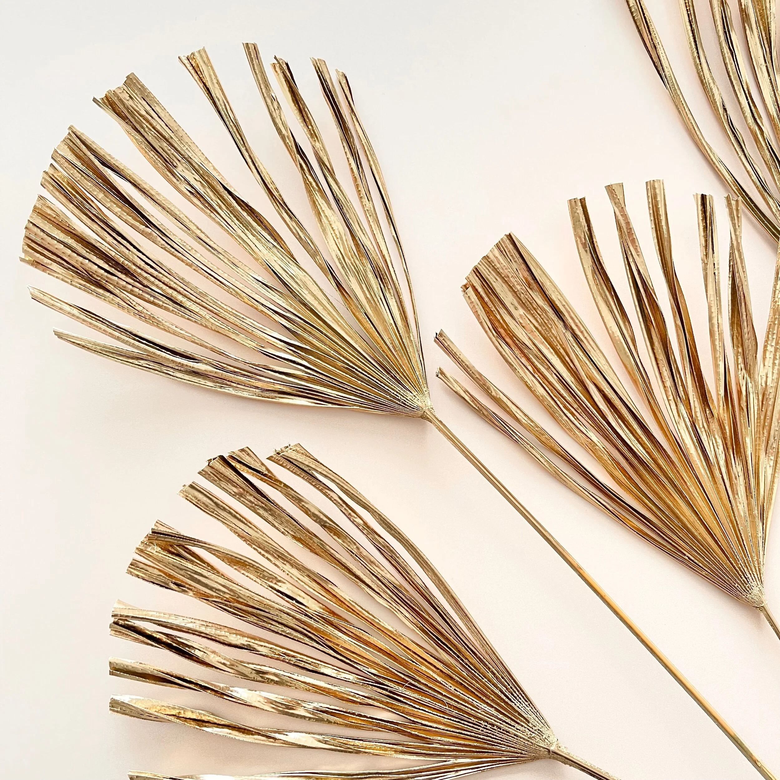 20DBB4CC-C303-47AB-9165-B90F14A0029C