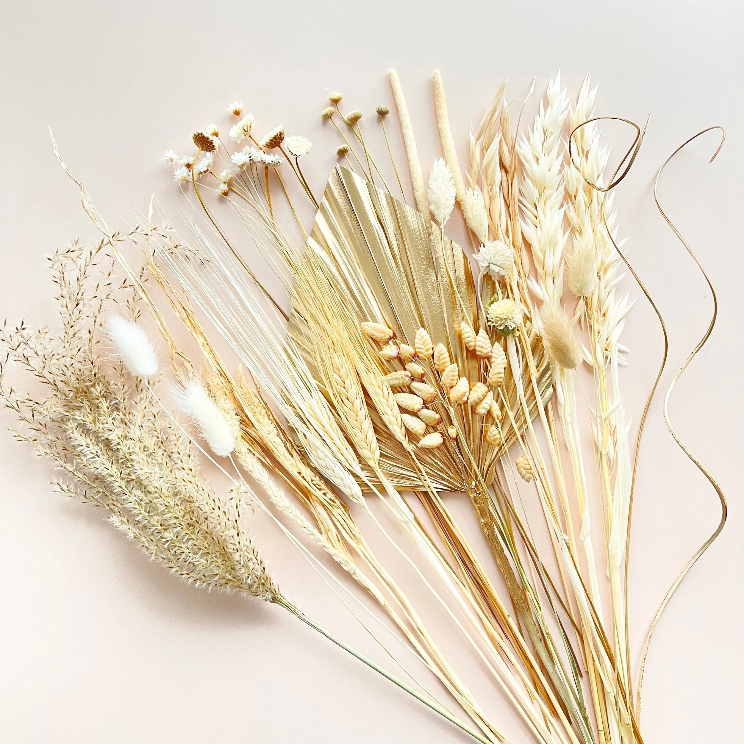 CEEC8720-4207-4BBA-BFFD-6C25DF4D9152