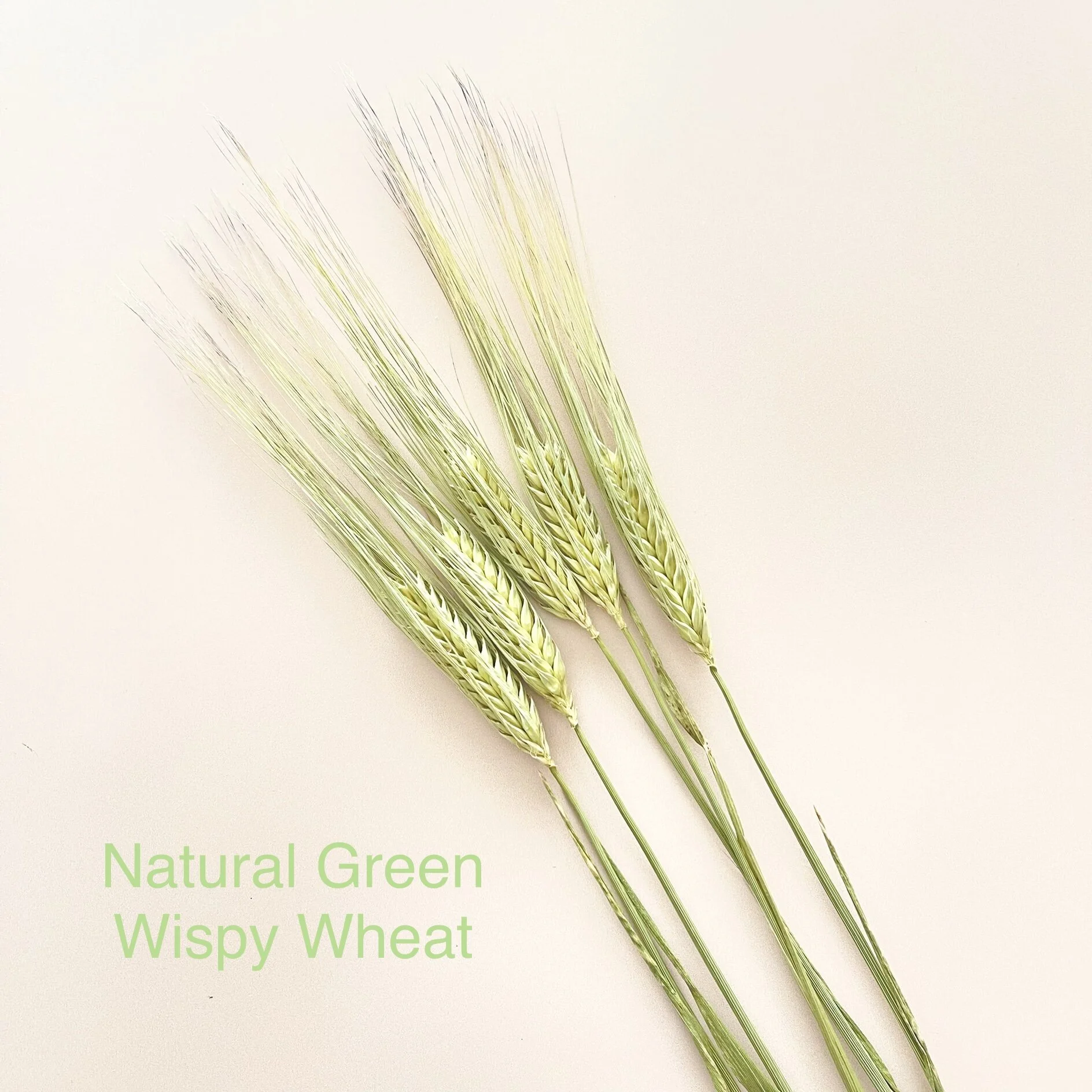 E7F7152F-2703-46F0-820C-AEE60333D460