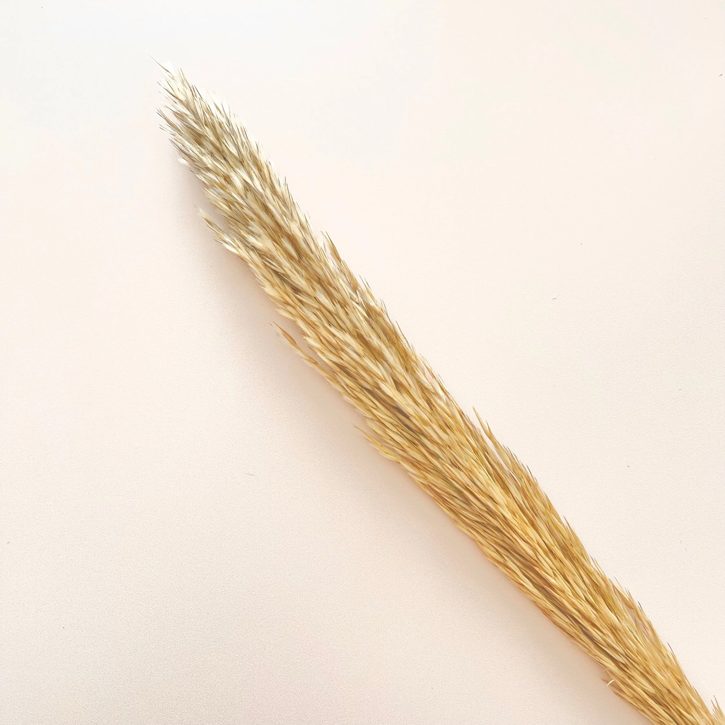 2F87C151-2090-4937-9F16-179895137CF8