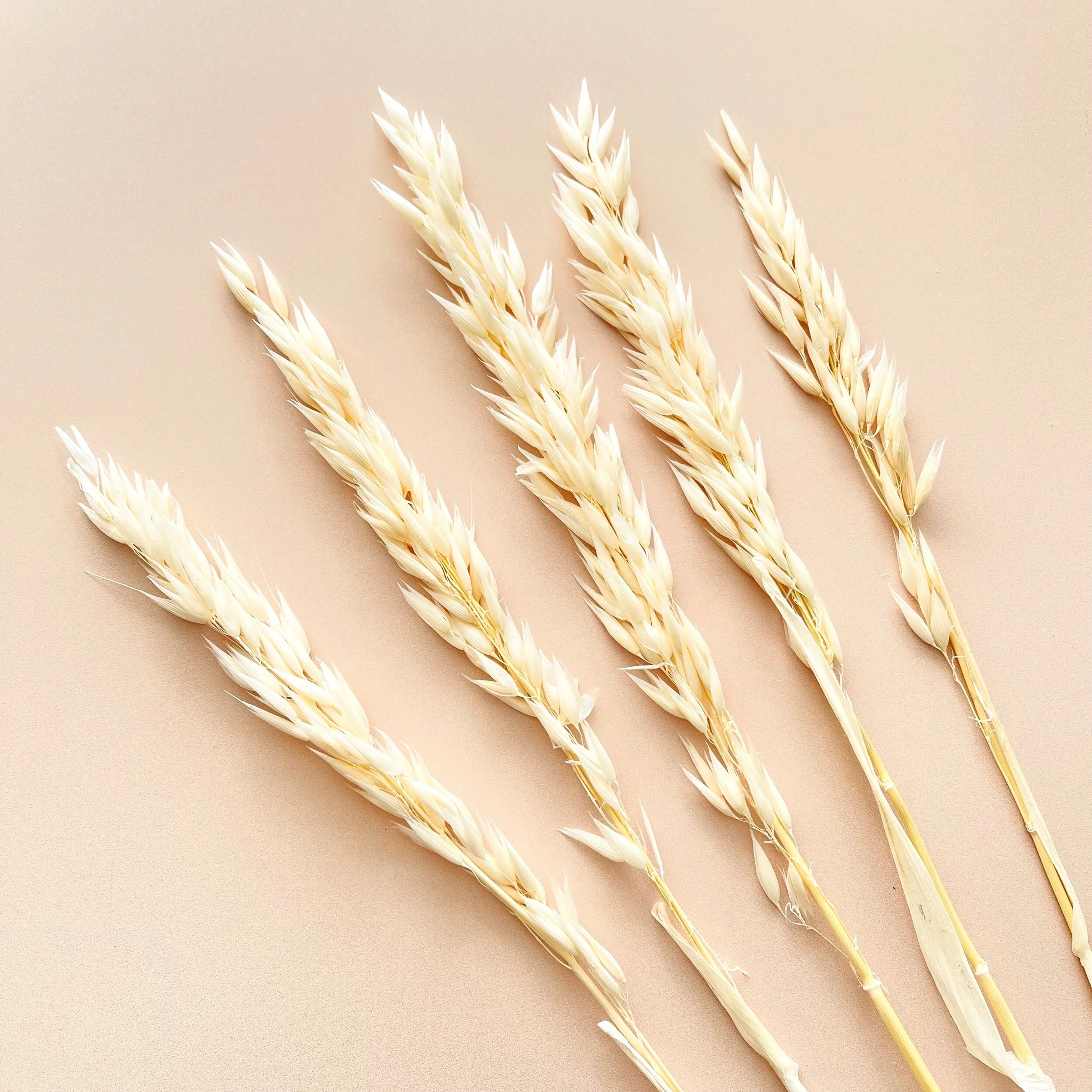 C0F3DC30-D709-412C-8EB0-7B8FF17A2DE7