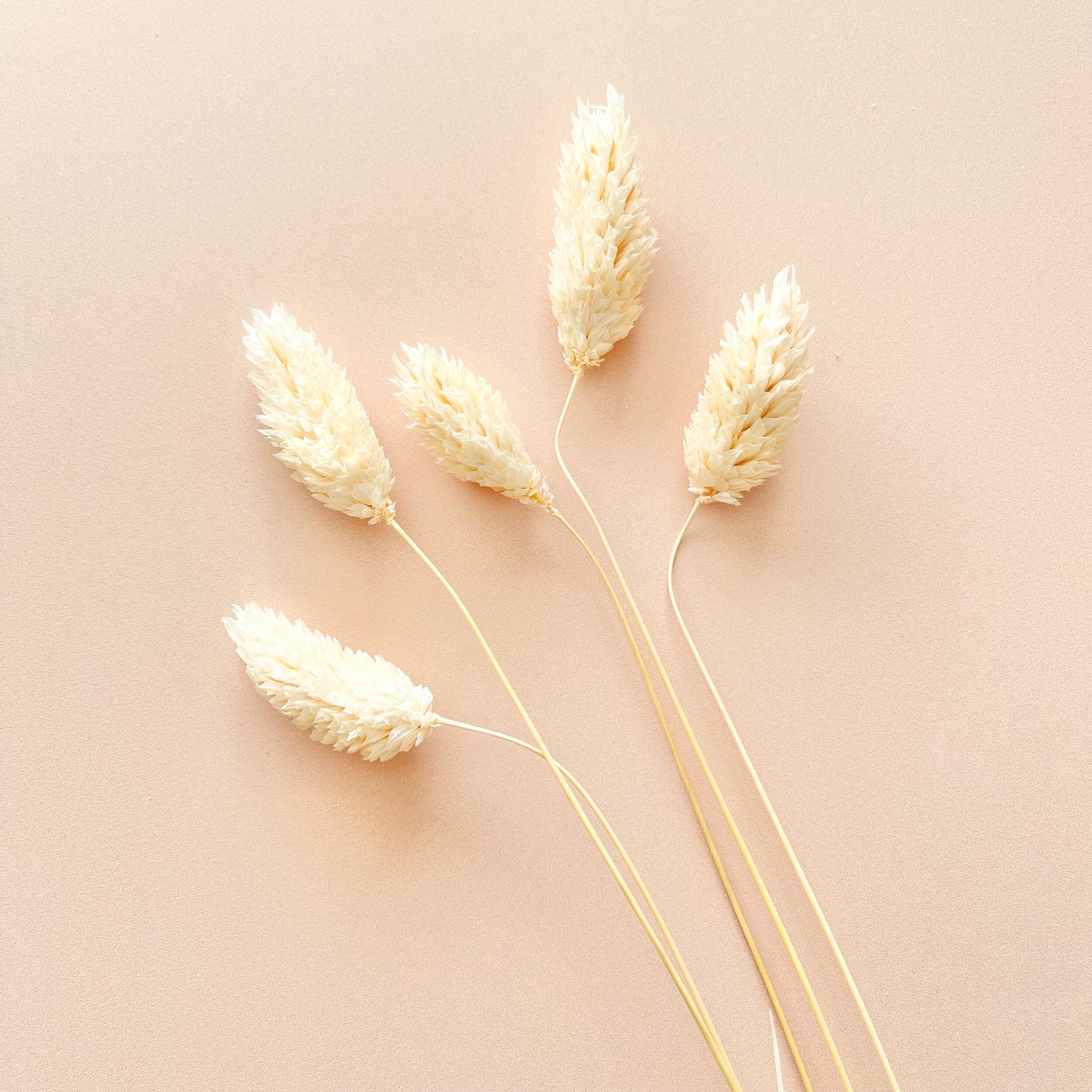 144083D0-36B6-404B-BCF0-A7CCF0369FC1