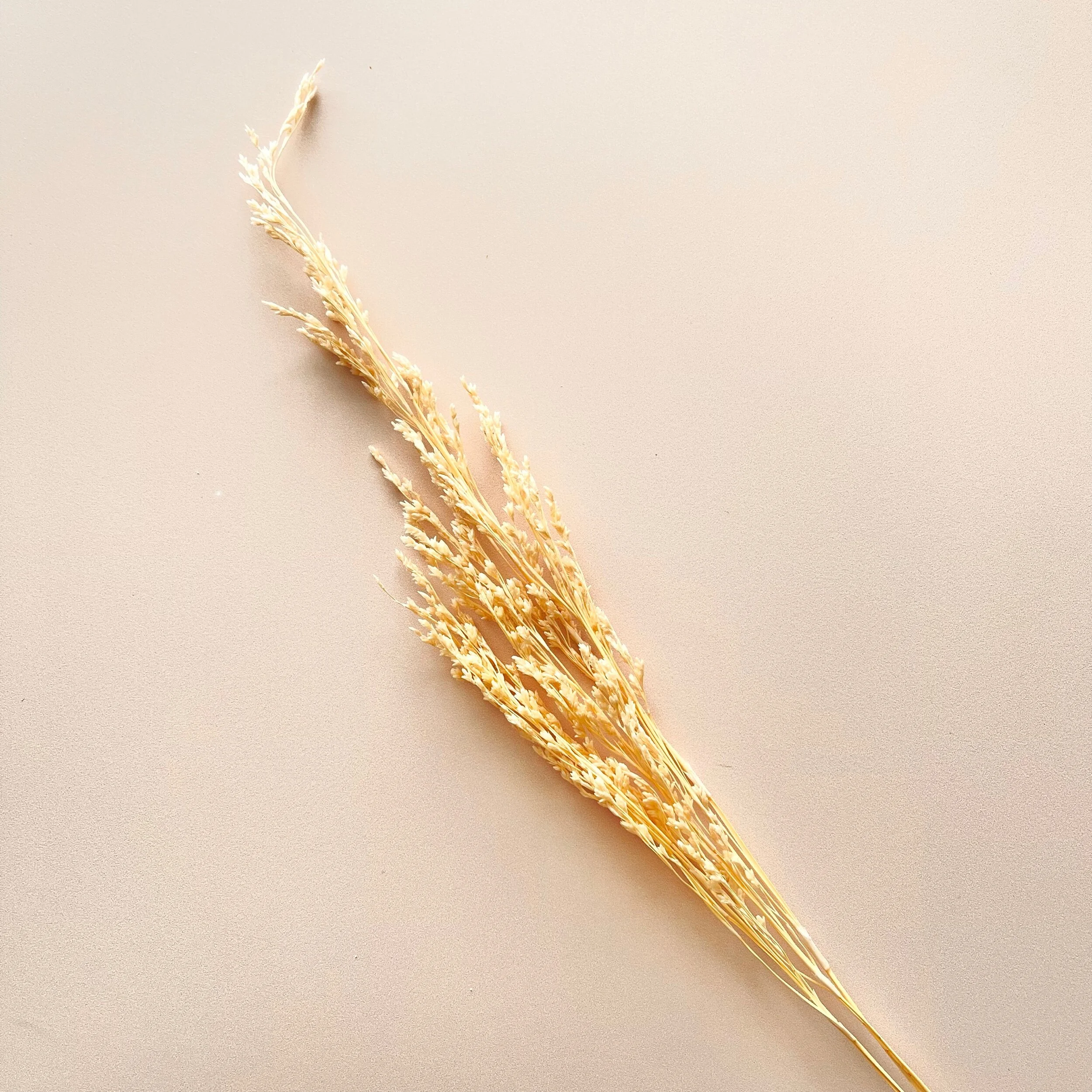 1AD41CB8-460C-48B5-8D57-E17D53866C6B