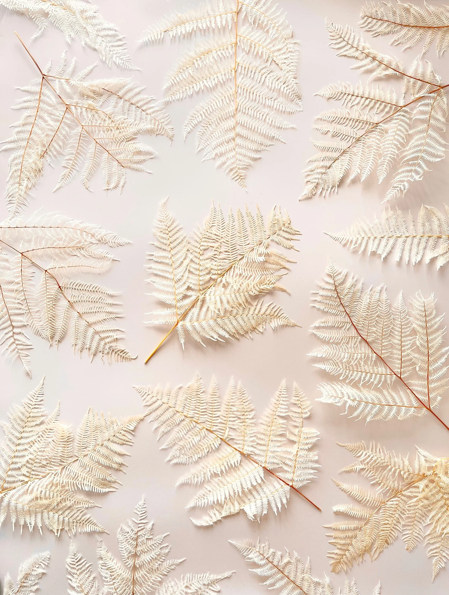 6CC028E9-FF05-4E59-972B-DC20456C2D24