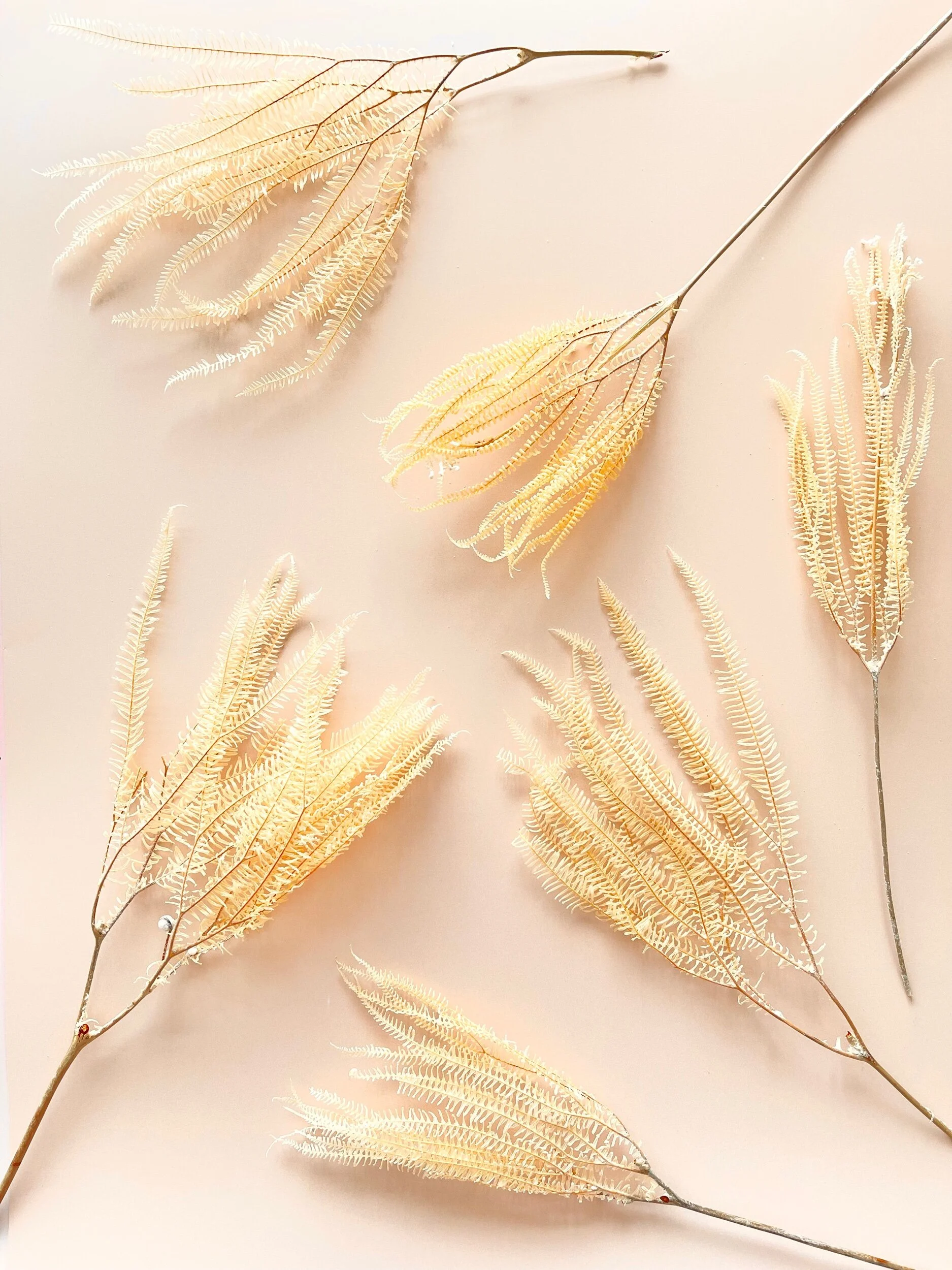 FEFBA26C-F10B-418E-9188-48BABD08C118