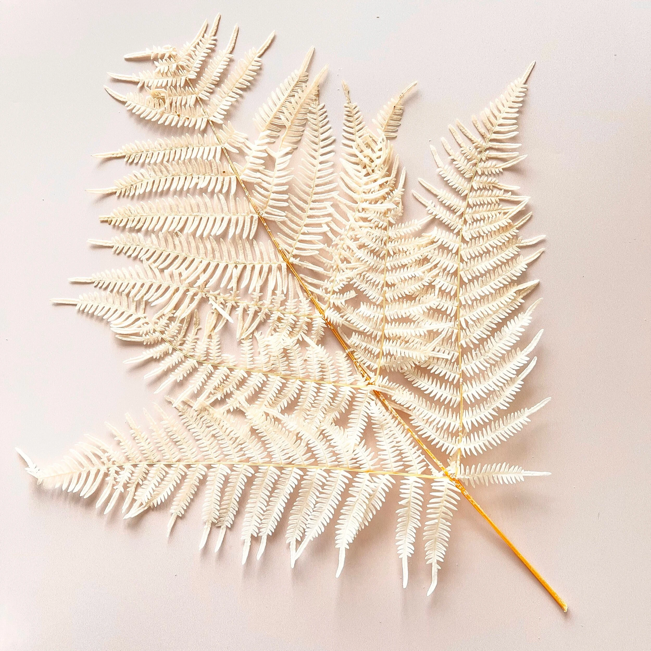 8979E153-FA3D-4D81-B1C4-BCD5FD577A29