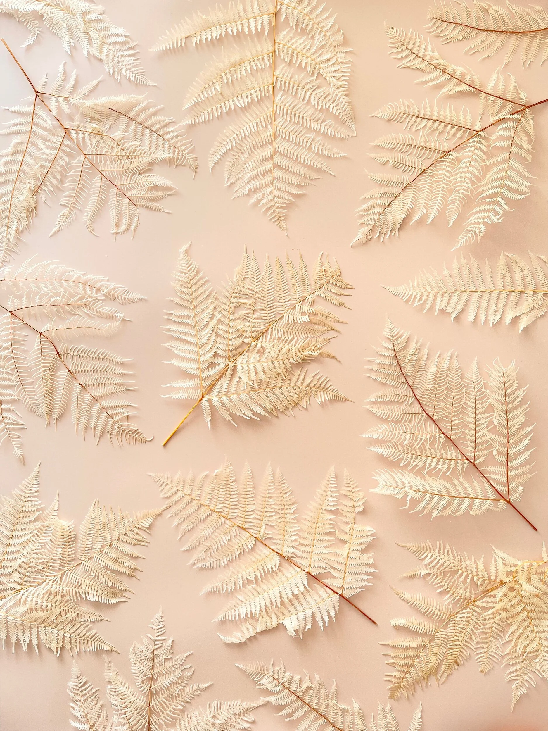 D635B9BE-06B6-492F-B39E-7E2C8010AC6B