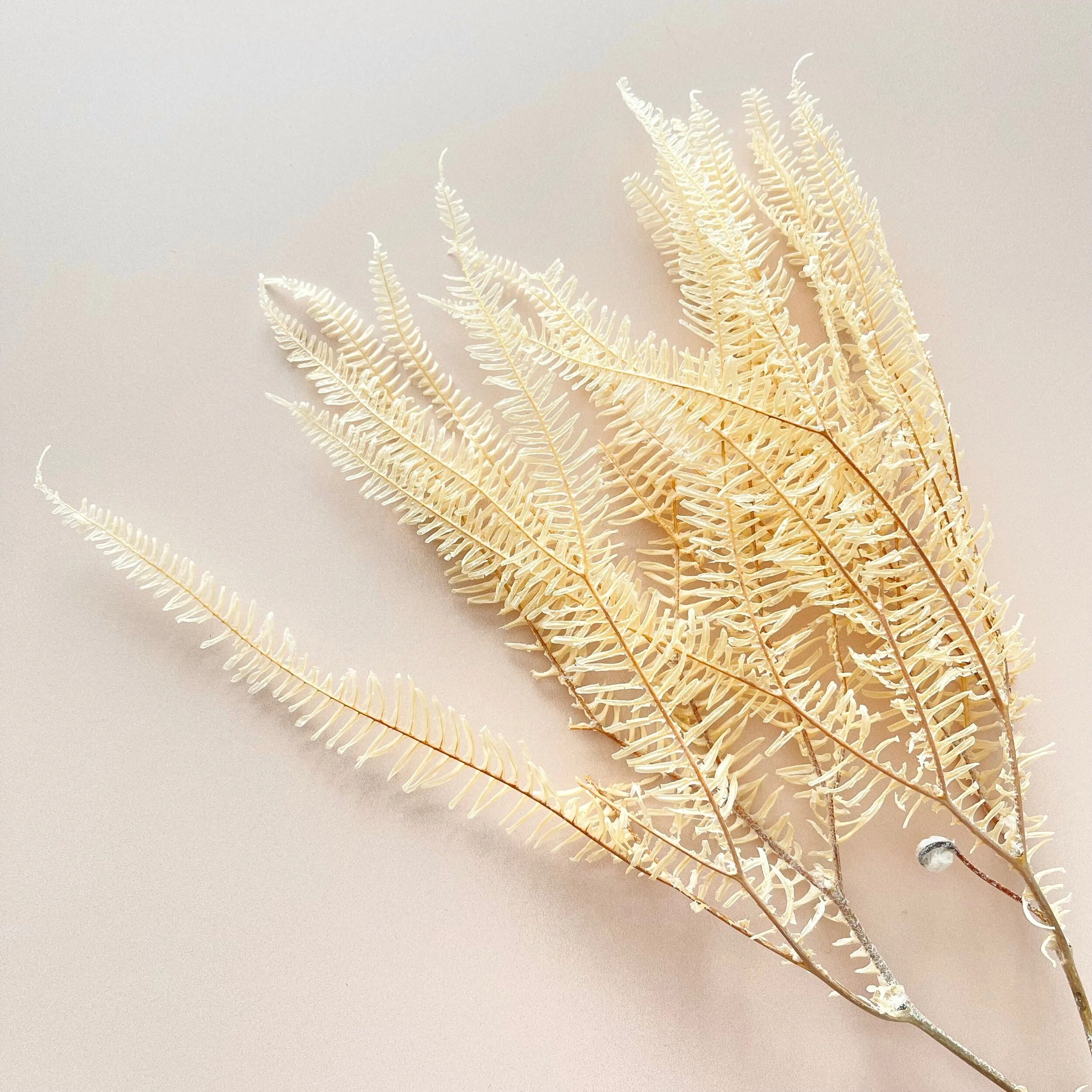 02DE7861-8340-45D5-9423-FB62FFDD5E56