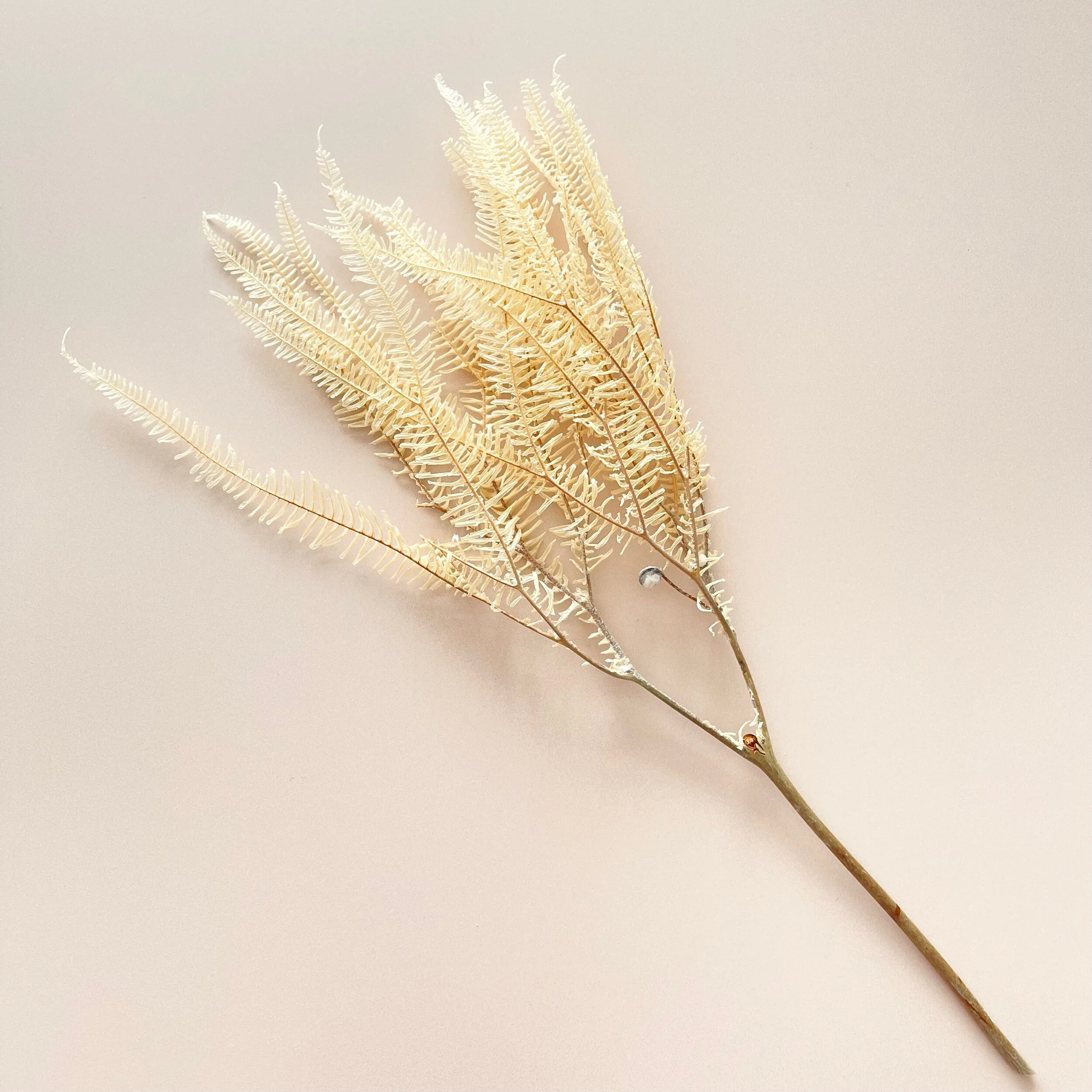 87FB8B1C-843C-4831-A139-4B9722BE55C8