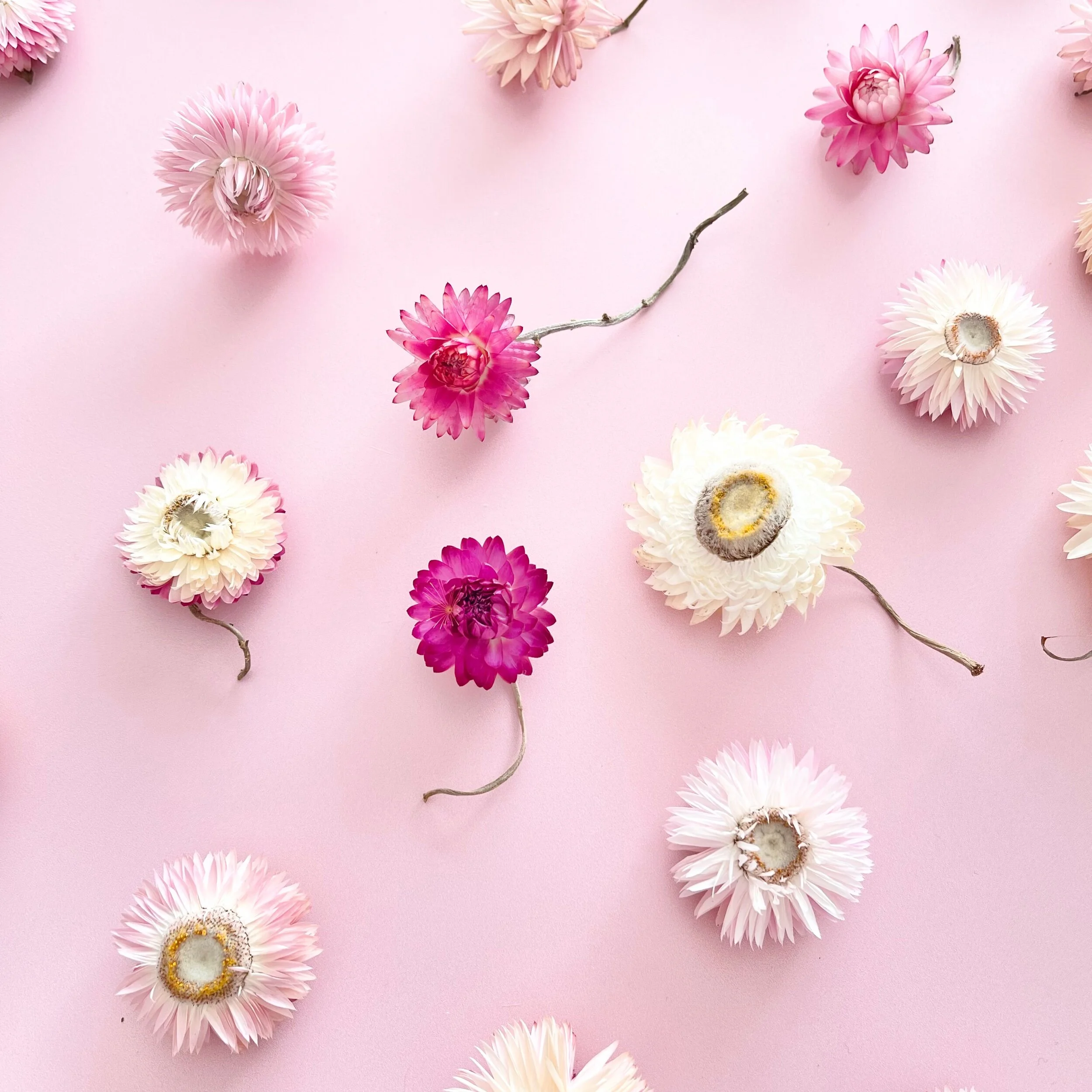 20C40D37-0FD6-4073-B35F-451836C58A37