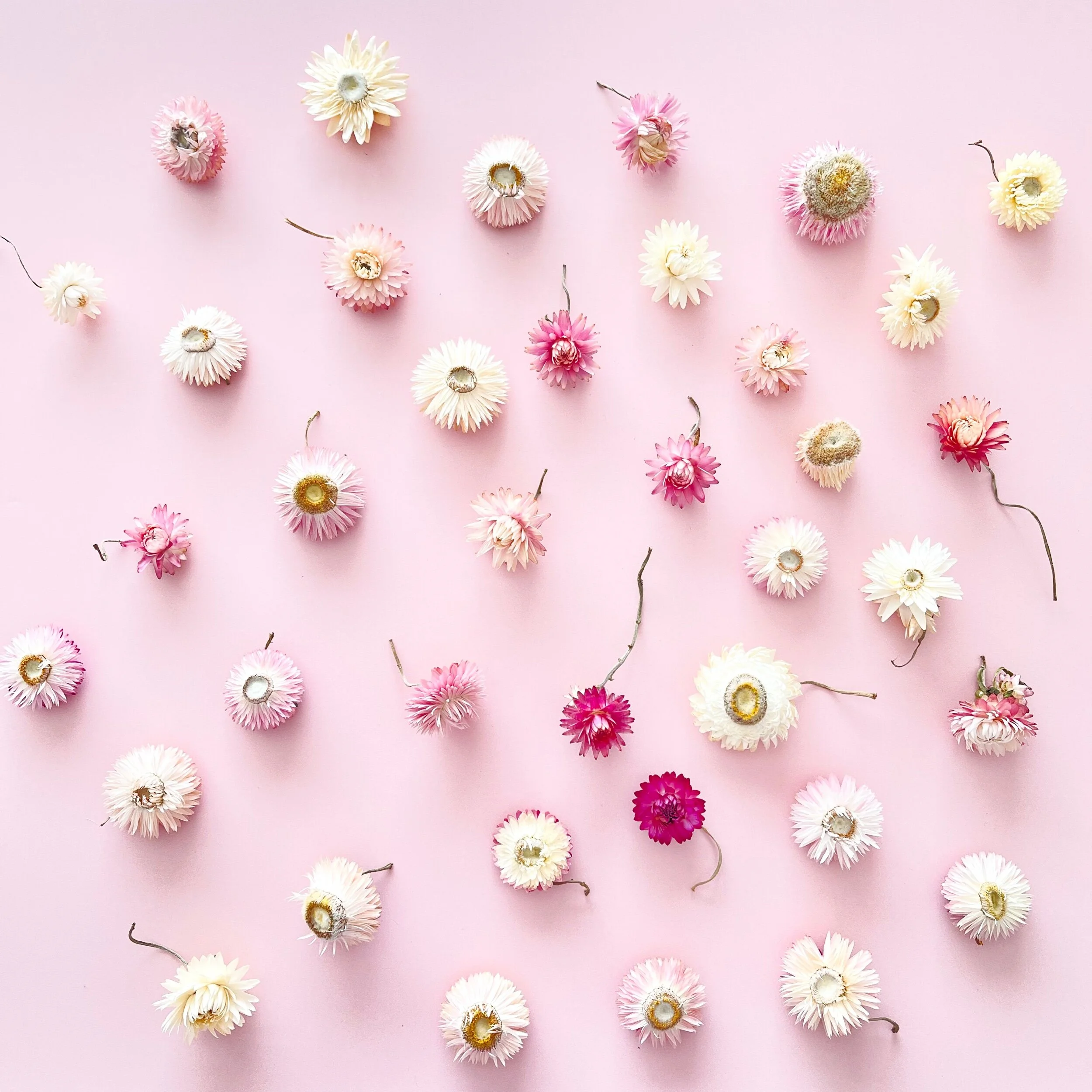 04E43D6C-10AD-4F6C-815D-156730E35562