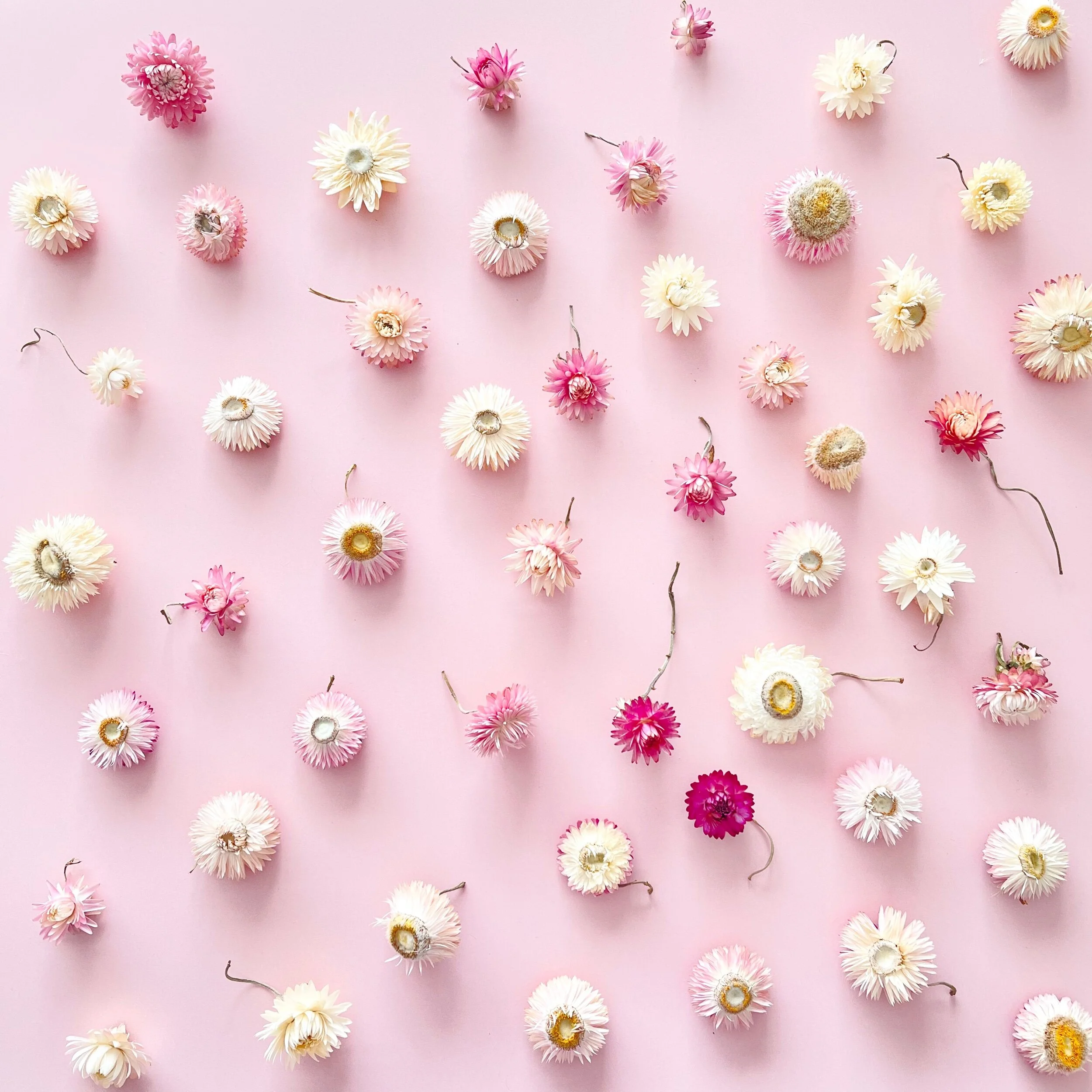 CEC25CBC-295E-4802-927D-D82580C169CC