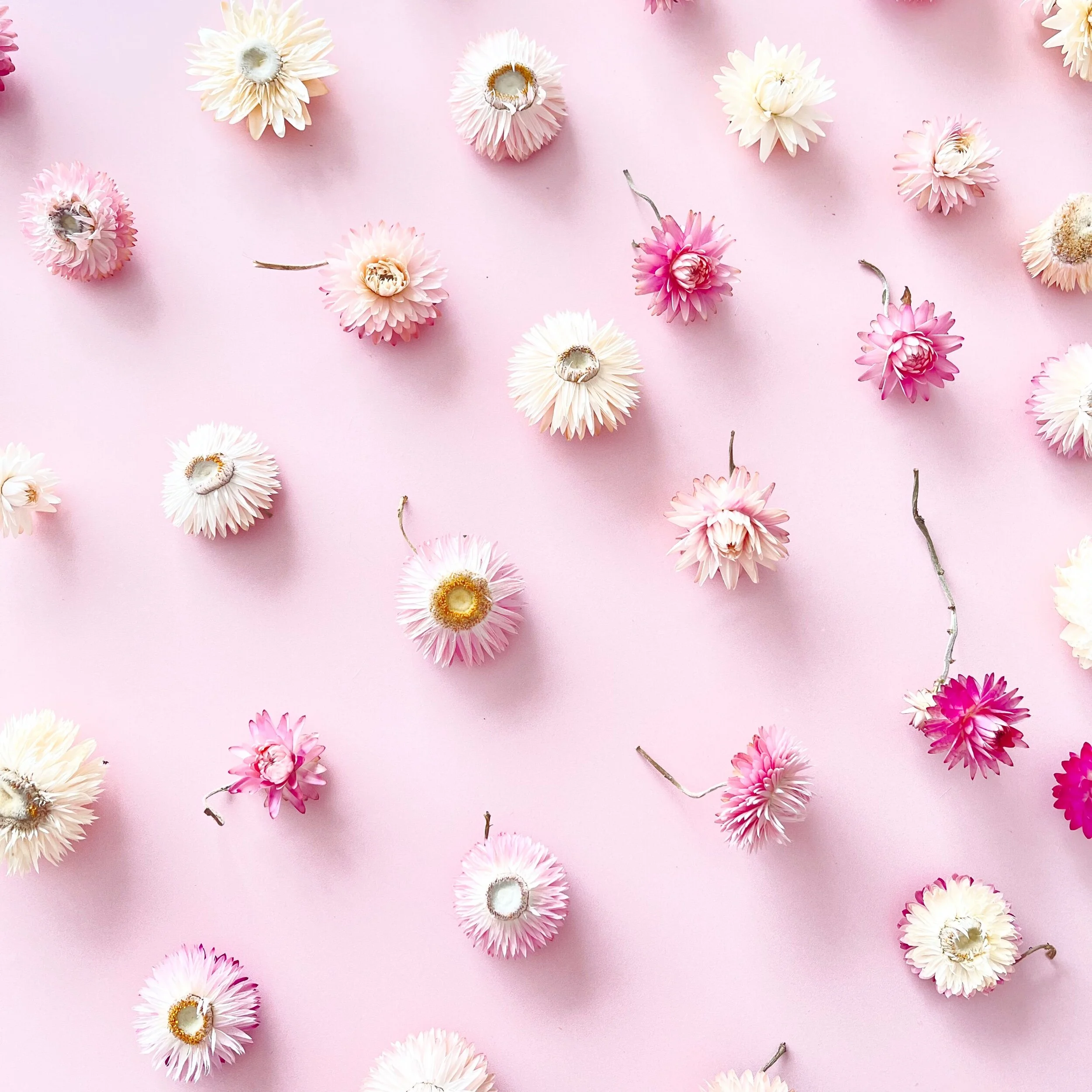 436DF887-ED31-4D51-8A10-62D0EDFAF590