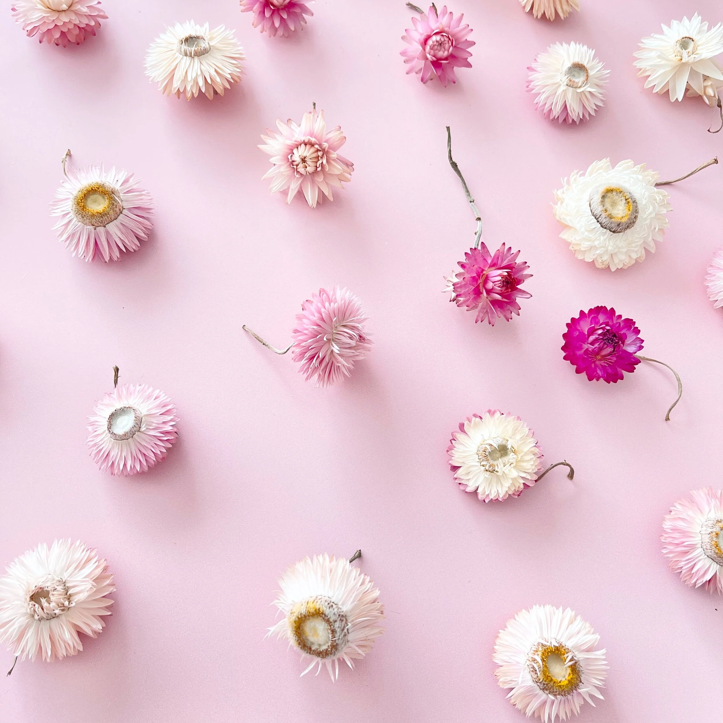 4D20B754-CED5-4C1F-9FB9-5FA4836EAD5C