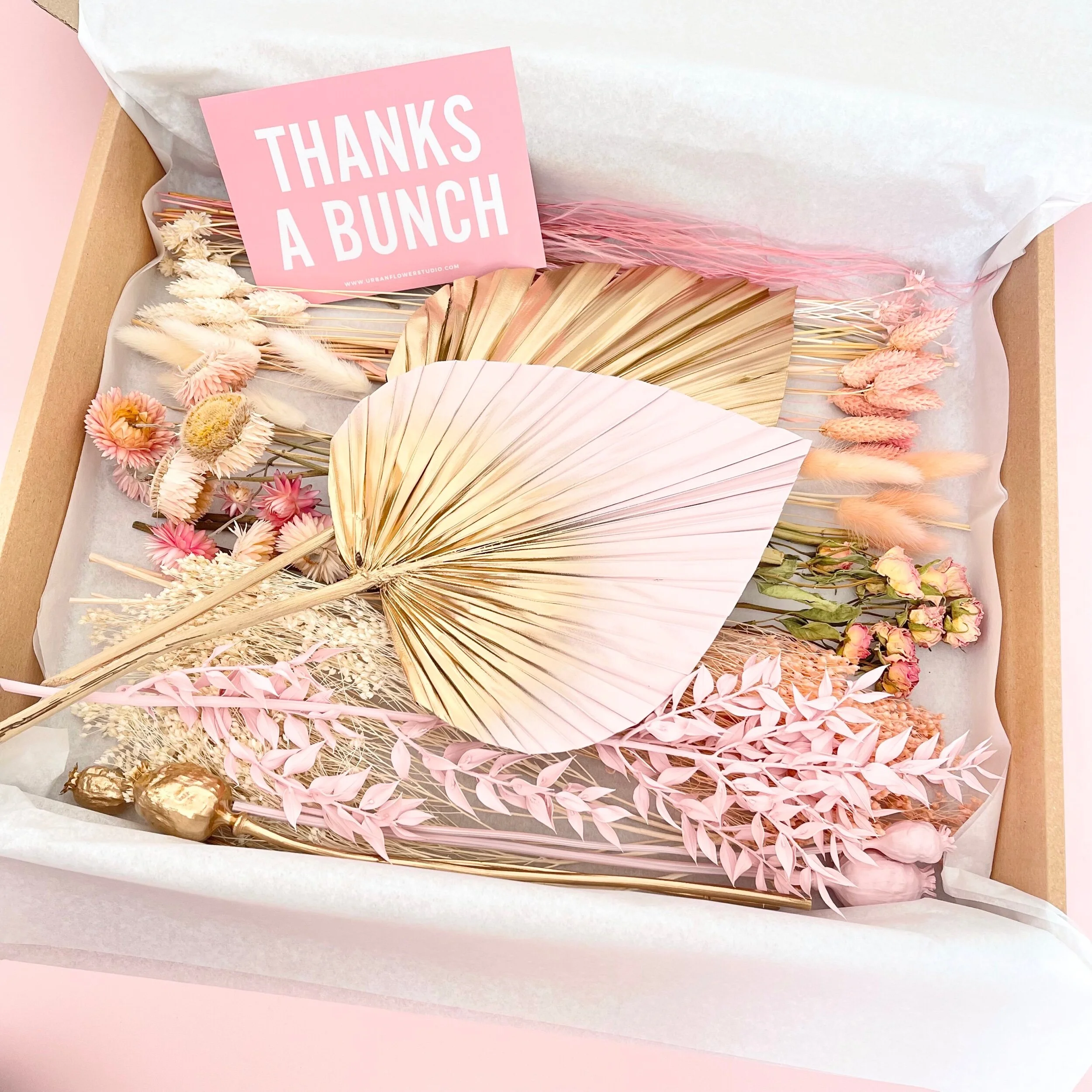 B080D389-BA20-4E32-87CB-015365BE61BB