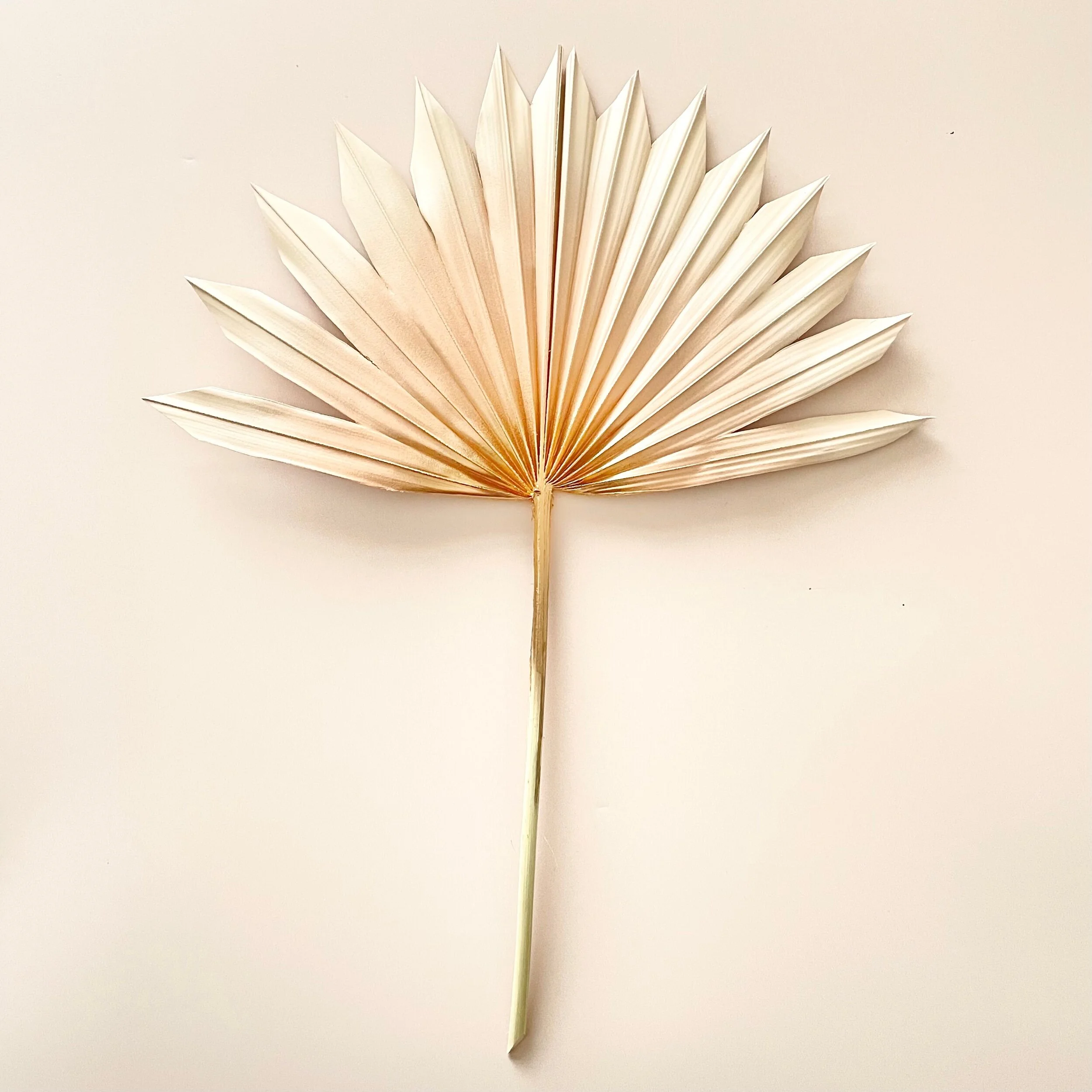 95372E5A-E3A8-43B1-B800-55B07C741C5E