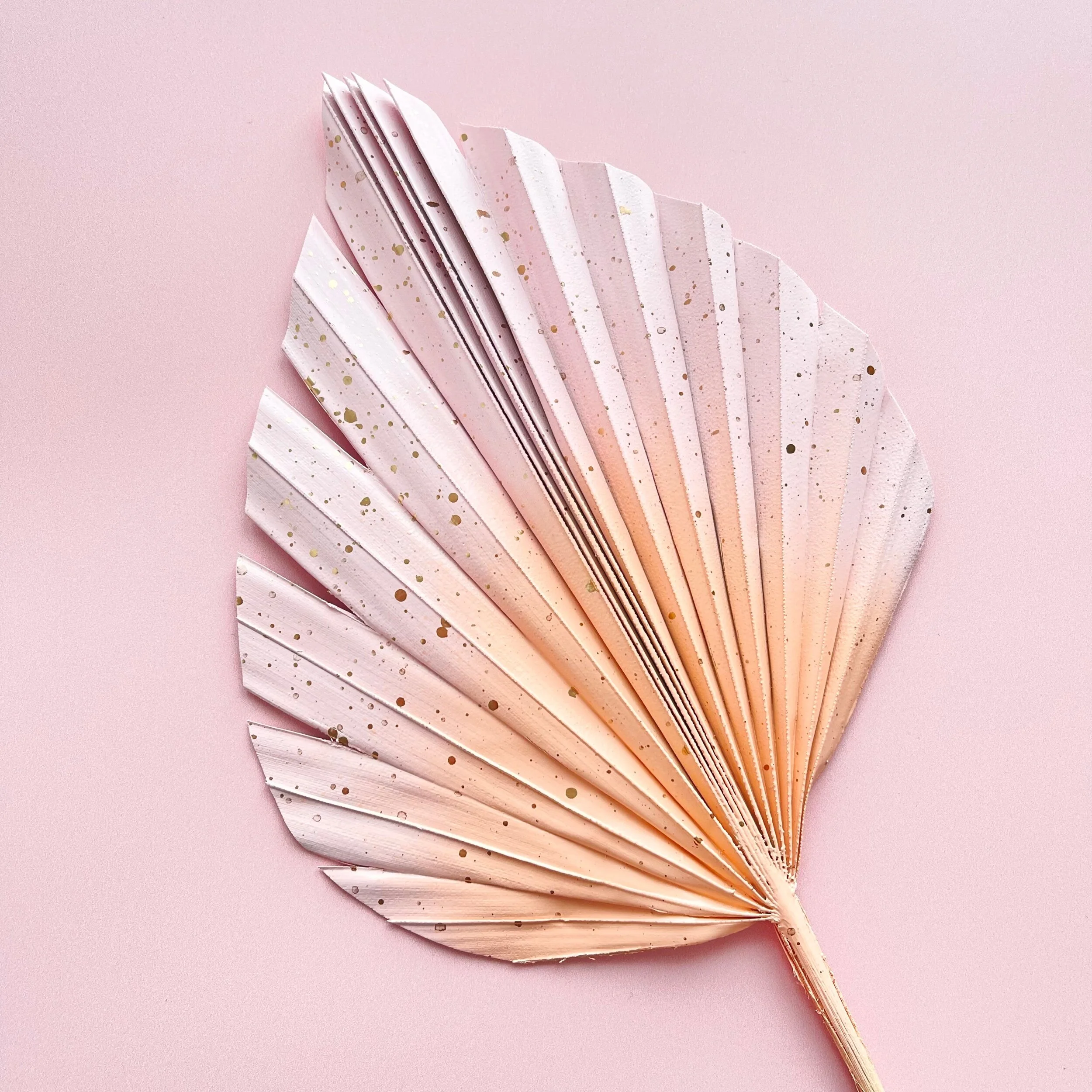 ECC4E6CF-723C-4650-B0D1-24F2B5721CB8