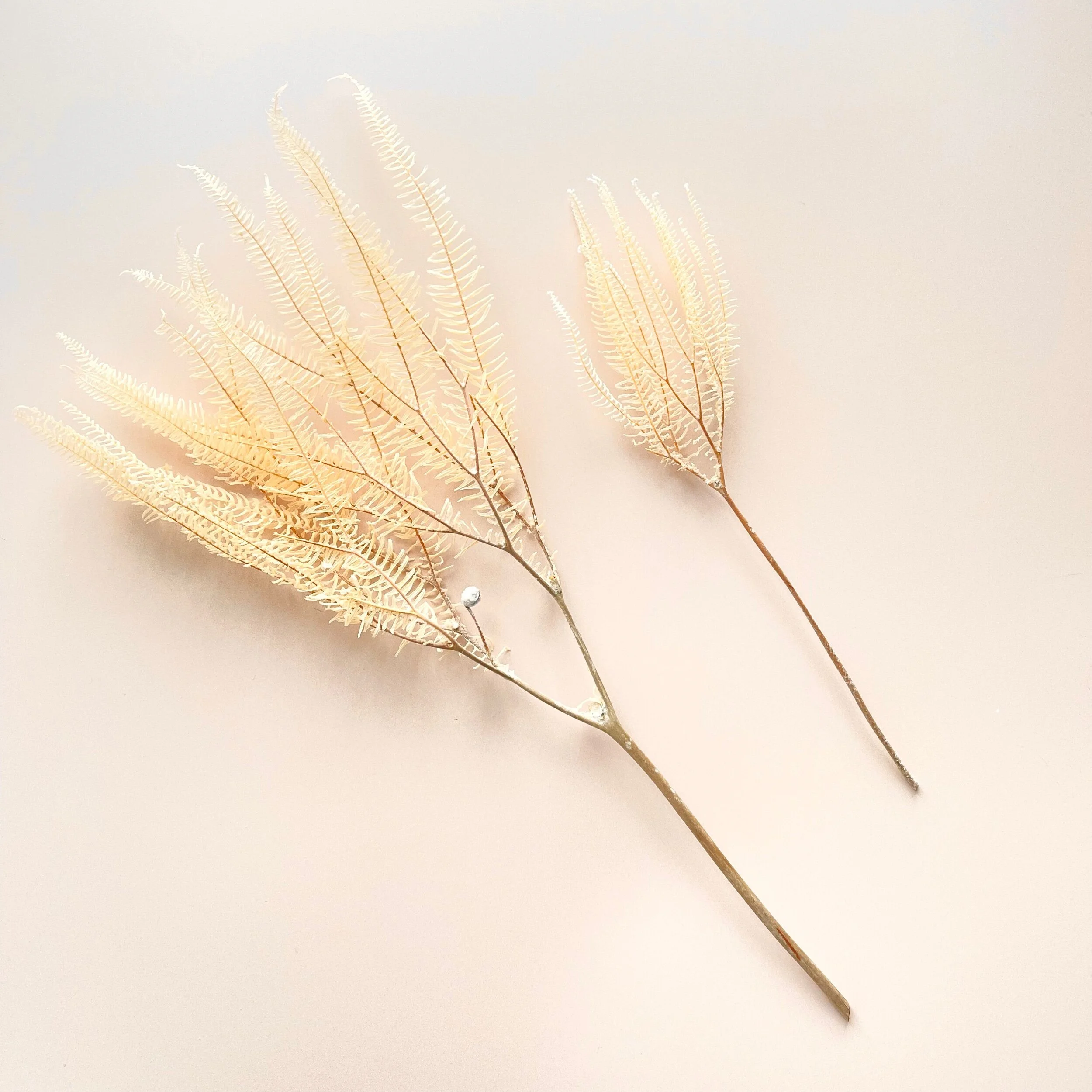 56FCCFC2-3981-4E88-BA1D-33C2B5FDD449