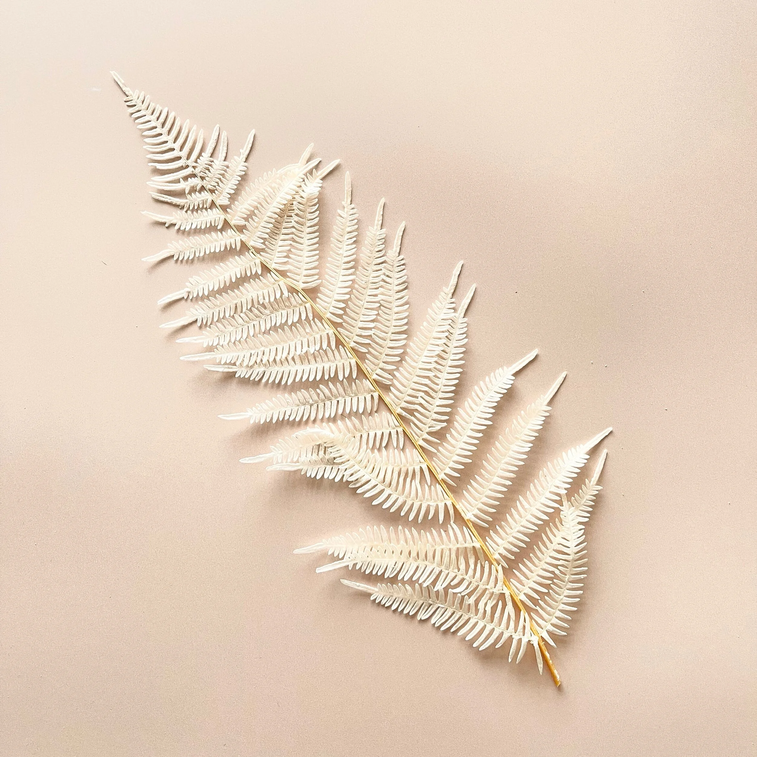 74DFA35D-175A-4DE5-A99D-9E054A1FBB27