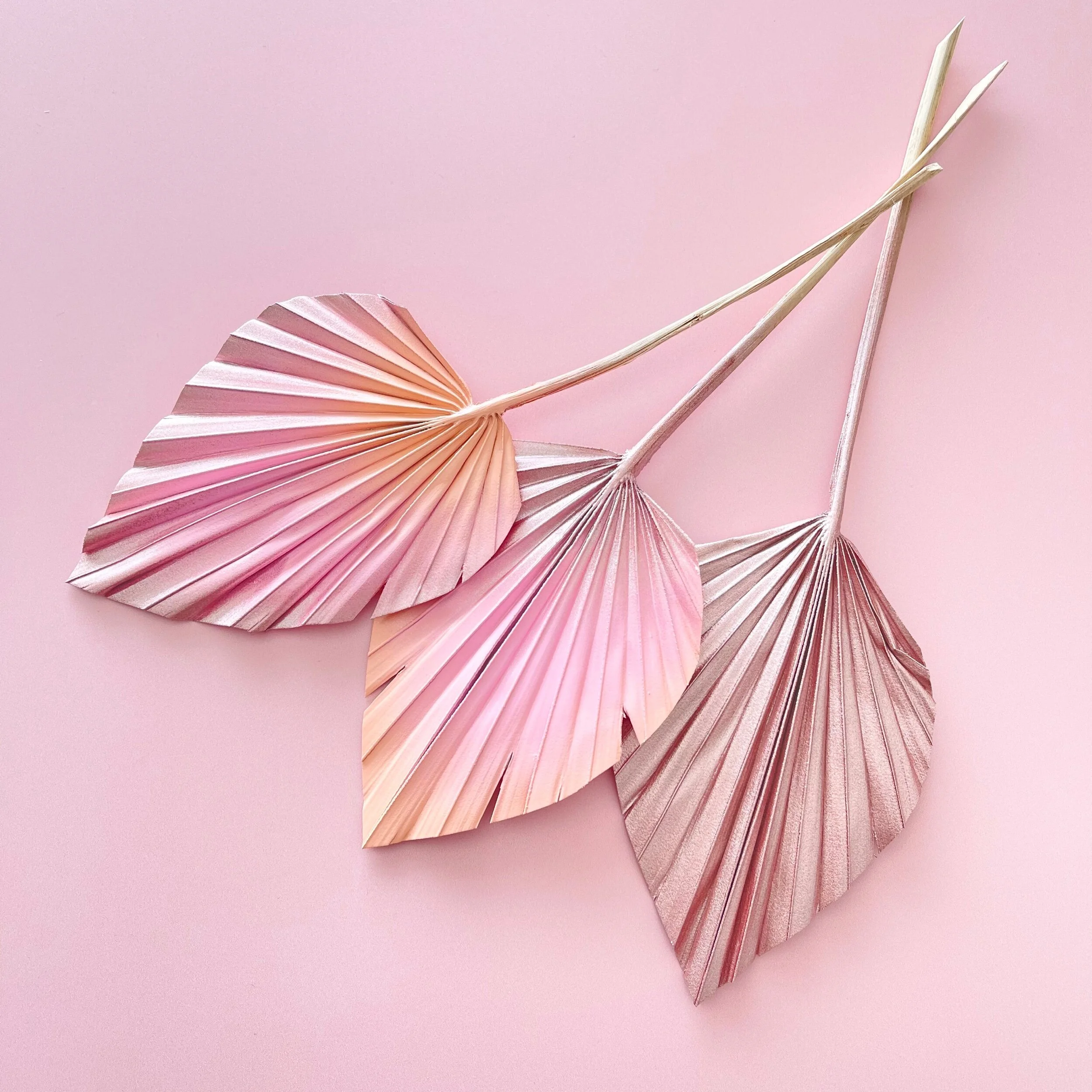 E4F9F8F7-CA94-43CE-8C87-577FAE10BF29