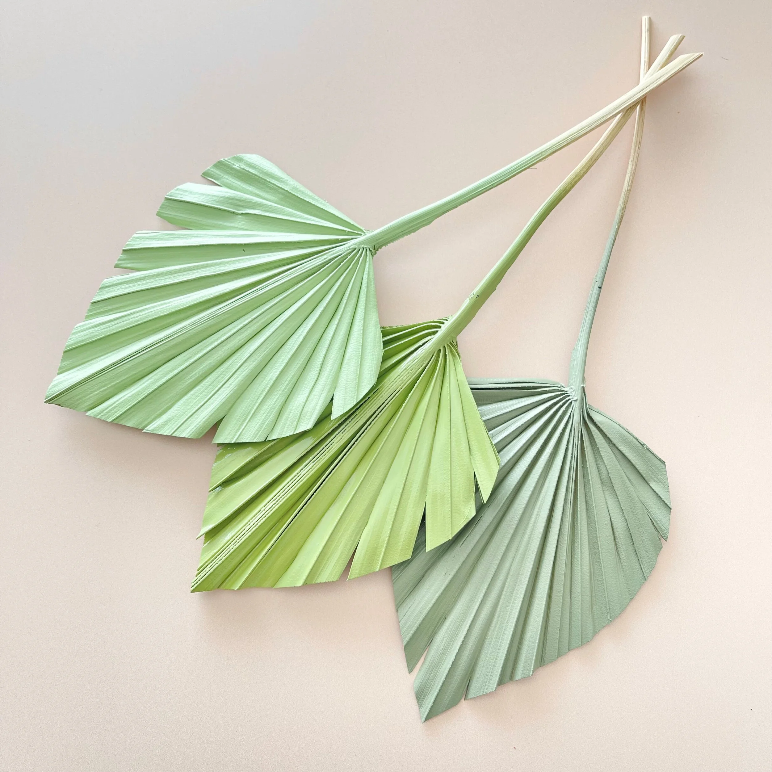 92CCA259-9468-408C-81A3-B8DE0823DB78