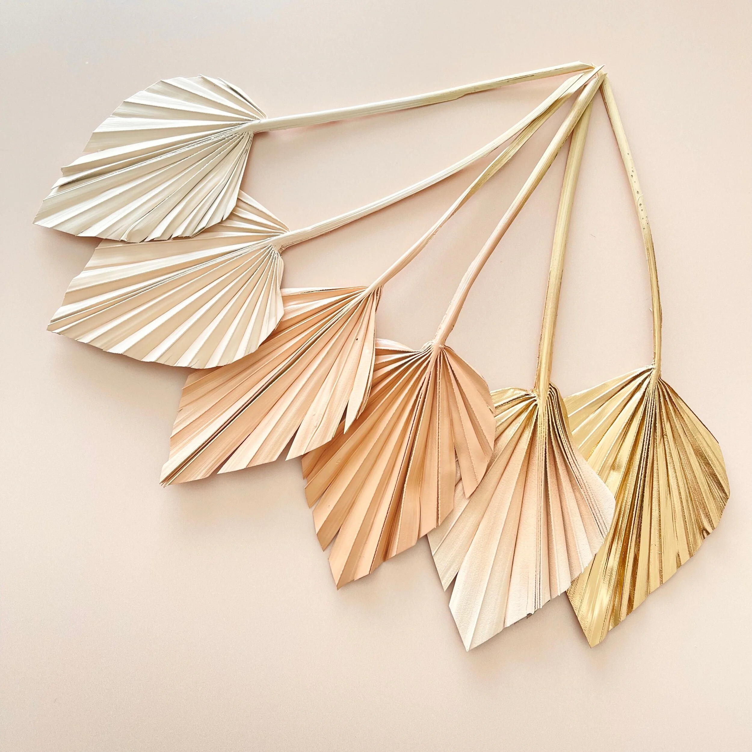 C65C8153-31D4-4A7E-B547-07EDDEB695F5