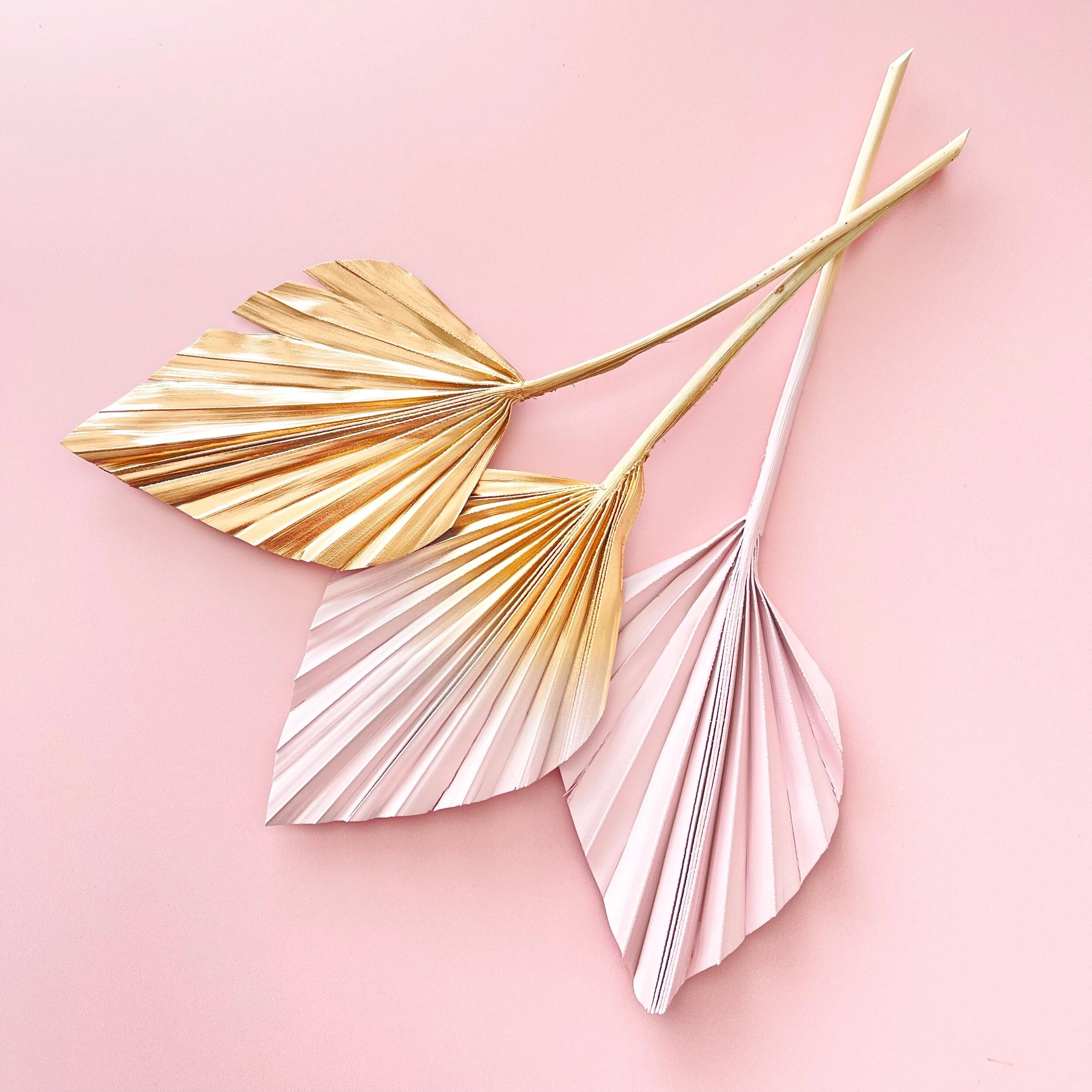 03C37583-7FA8-46FF-9F01-91CDD7015866