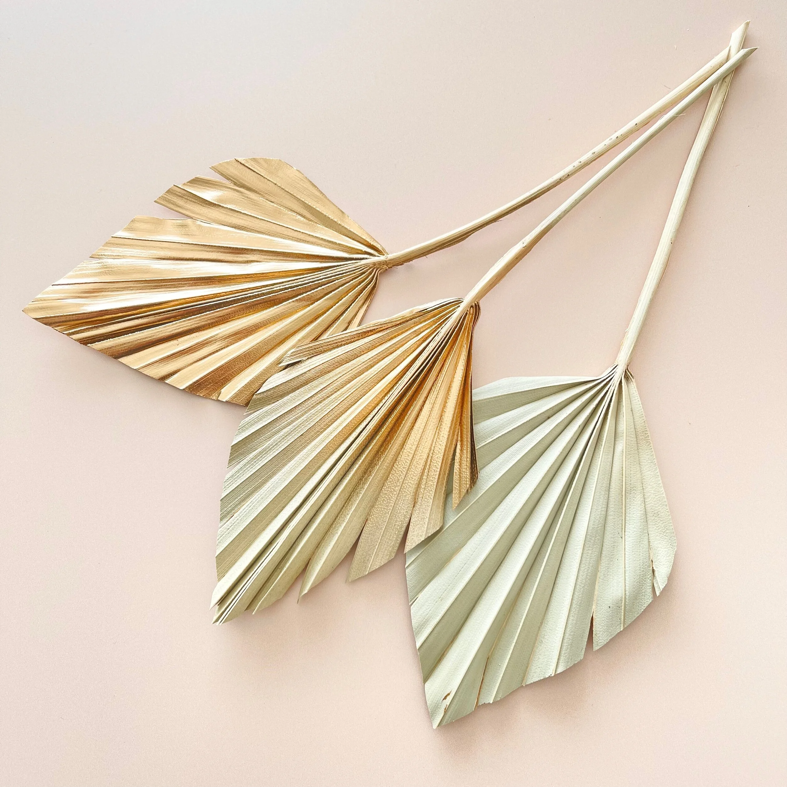 C6294018-C348-415A-974F-D82705F78792