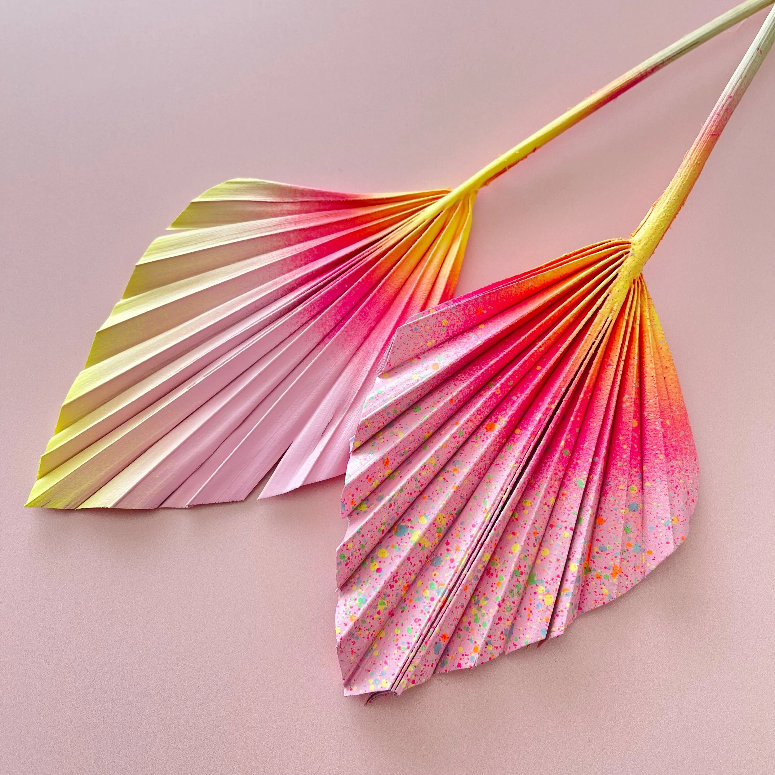 4AD694EA-B38A-4BBE-A11E-DF049695579A