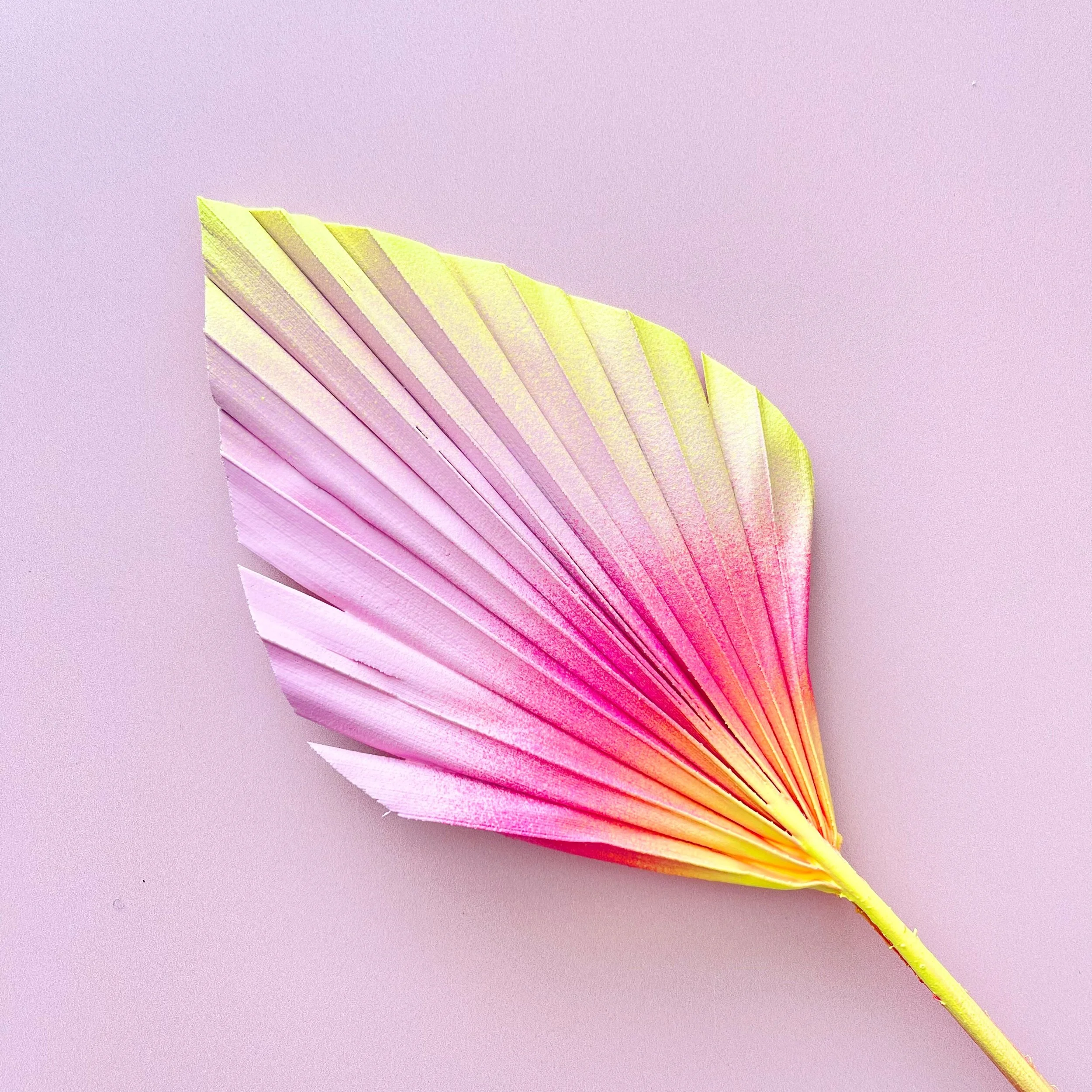 ADFF7D6F-FF5B-47BC-84F8-77AA05710652