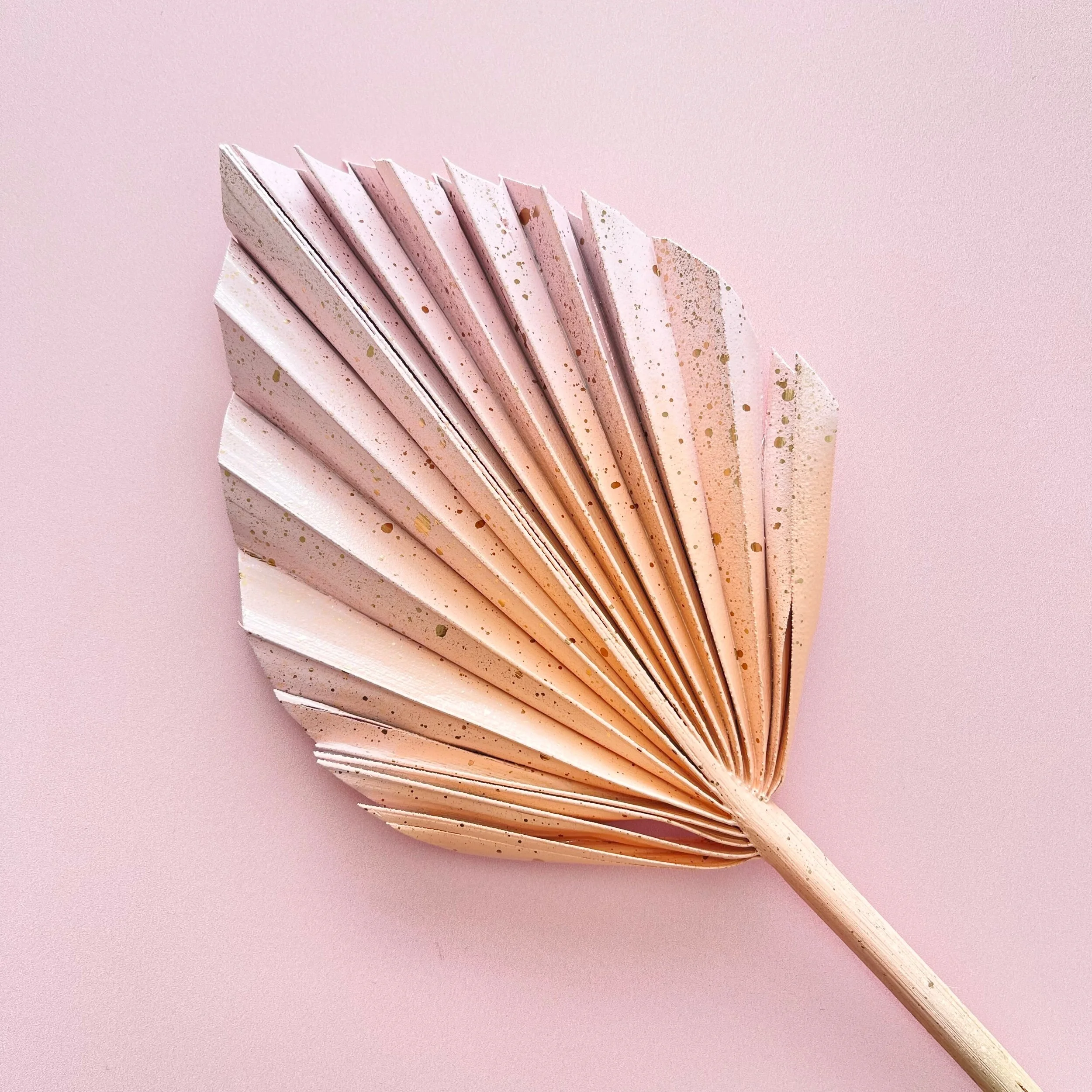 A1DC149C-FED4-4FB7-B252-2FE28B1FBA0C