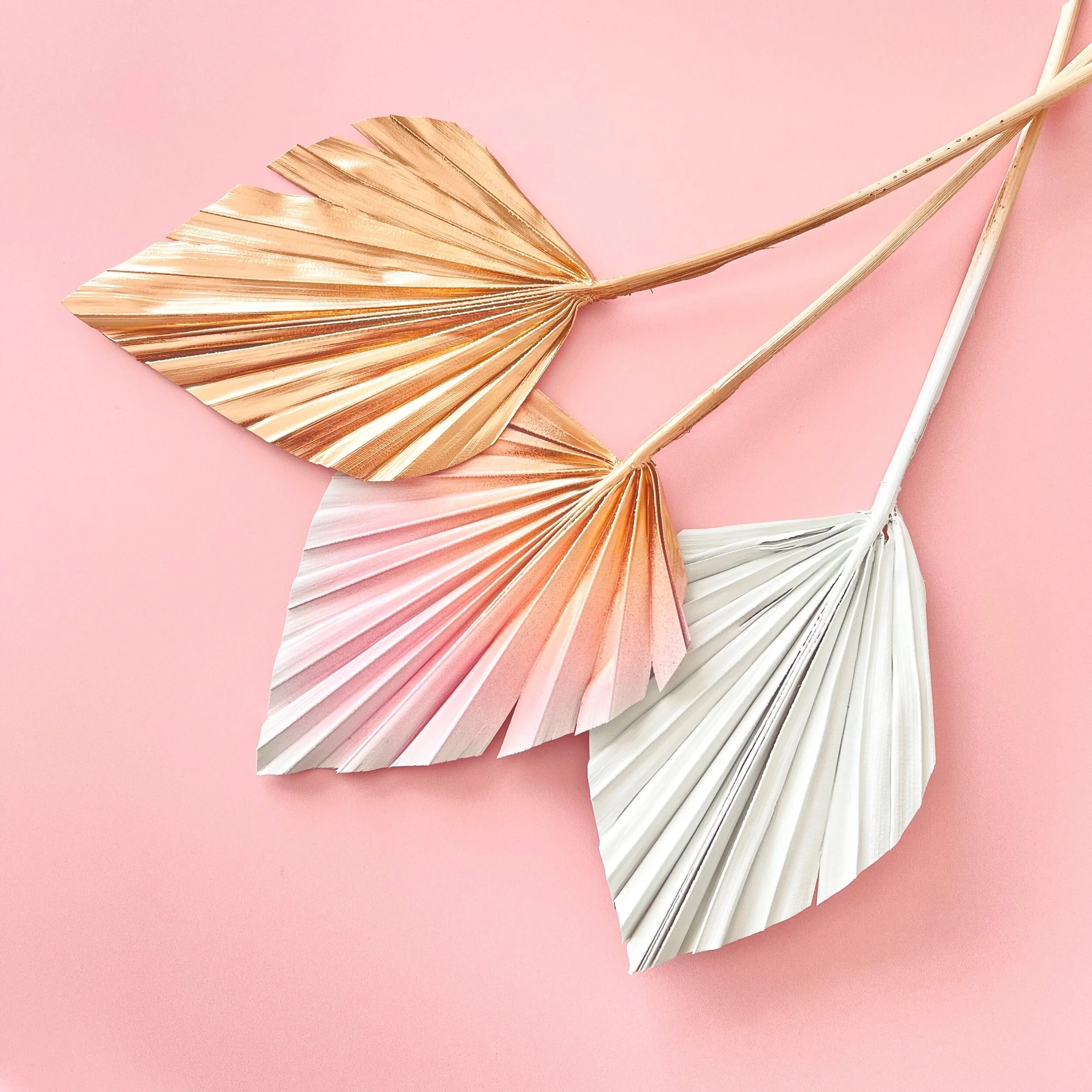 E9B57AD8-694F-4DA6-B977-ECF2763B183B