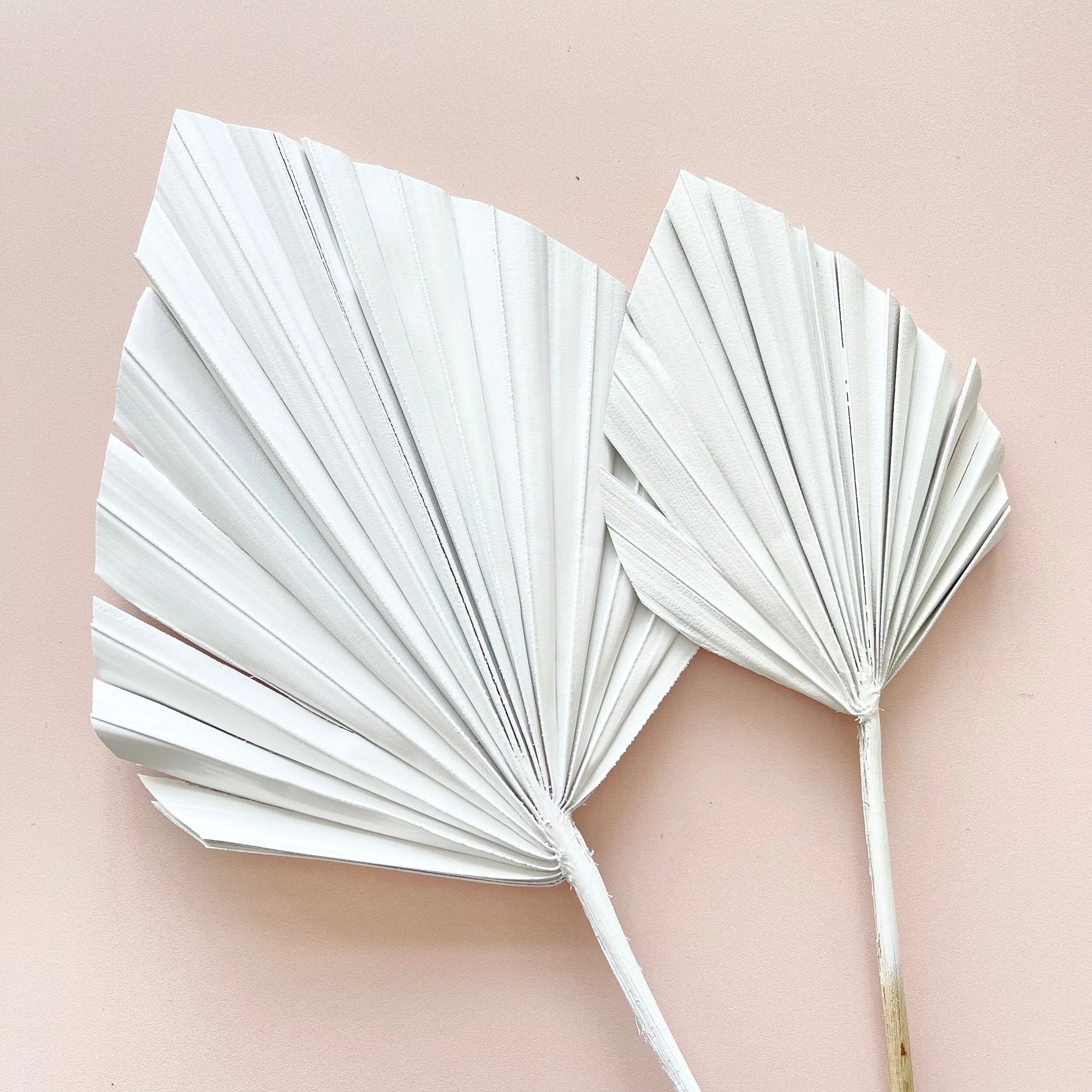 2FF0E5EB-2381-456A-A64C-4B1CB6F2CC61