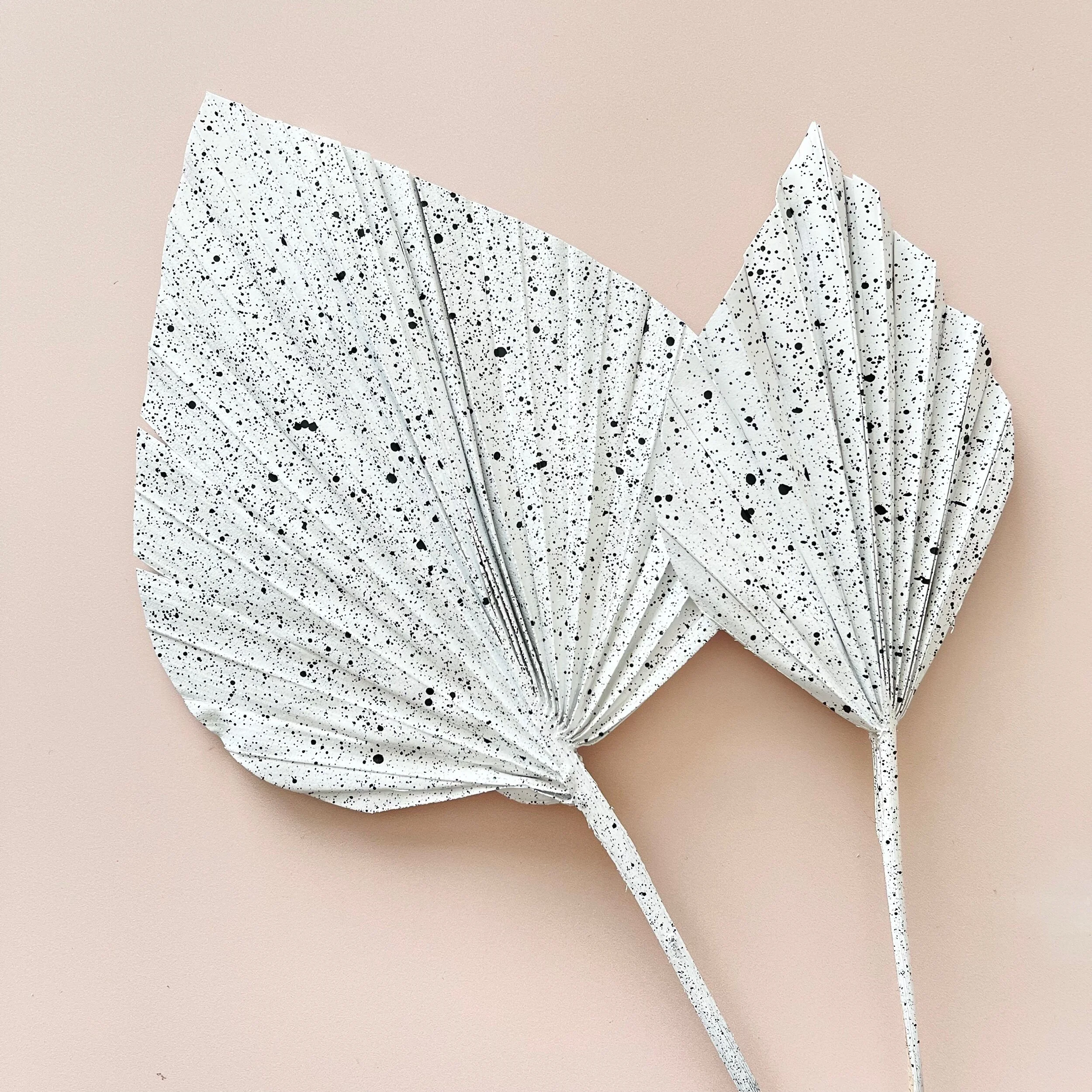 5507231F-3A79-4EC9-93A5-E89950DF9872