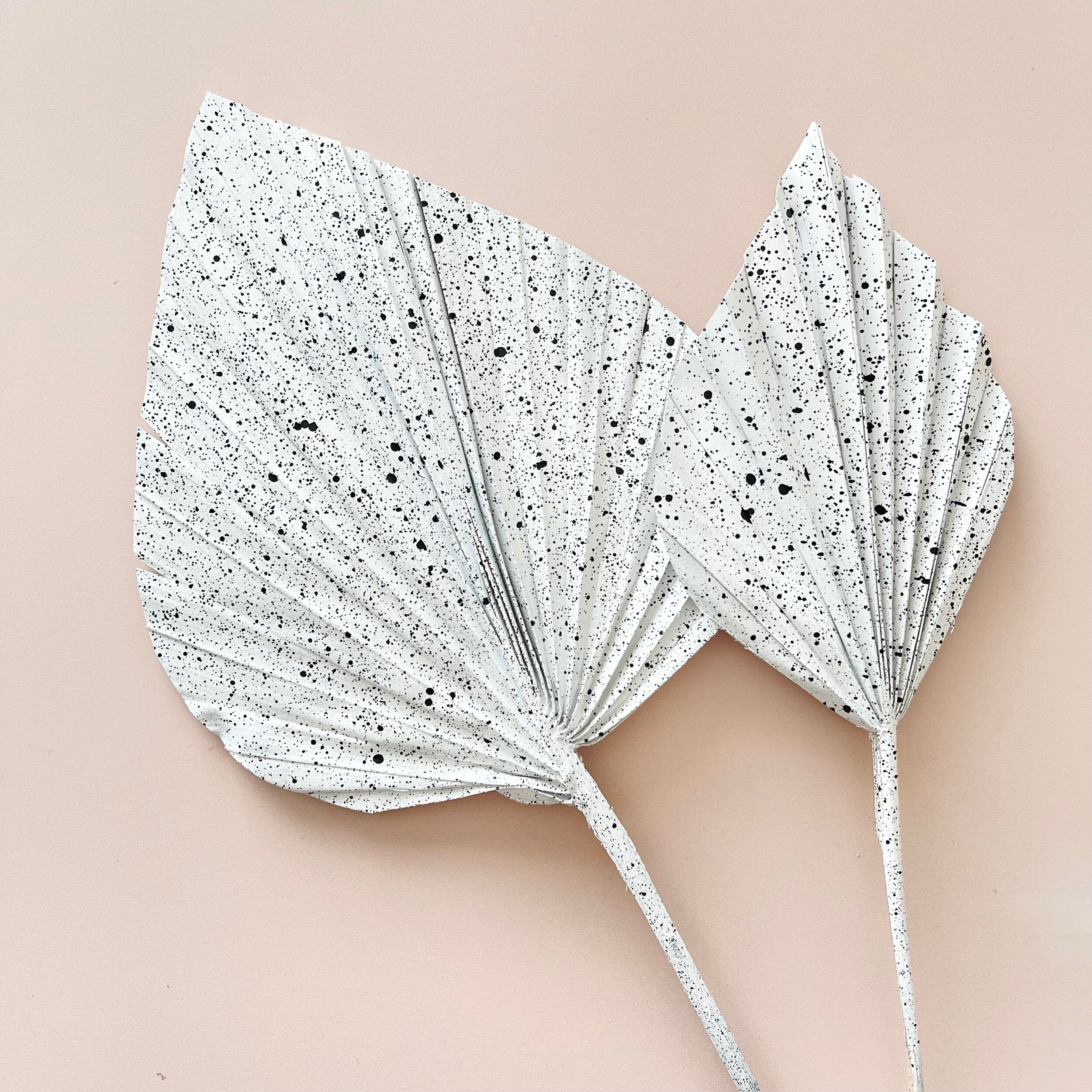 CA9DE398-A4CE-4FDD-9E1F-21D53C42D316