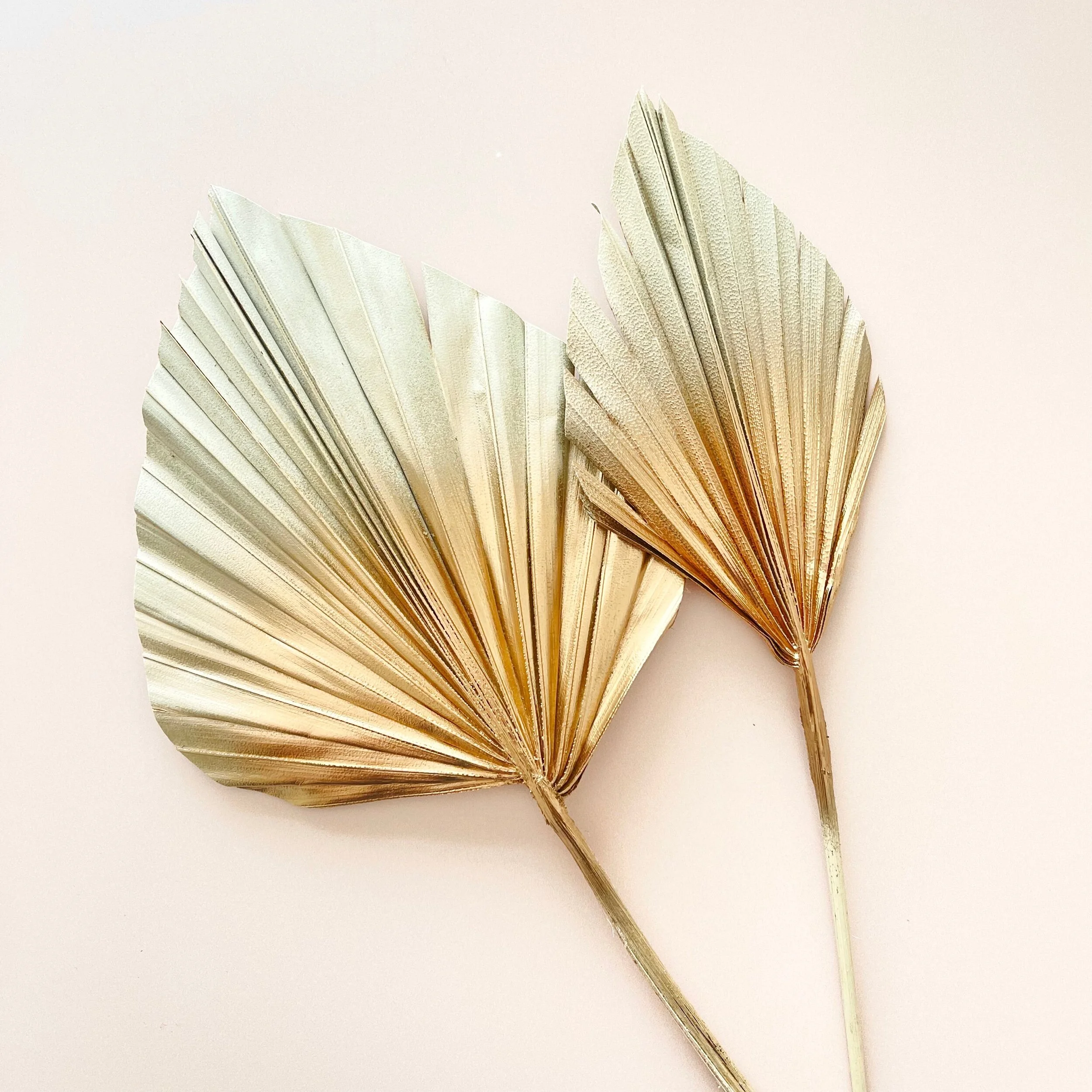 DAEBA9CA-5590-4B01-9794-E7C2223A0FF5