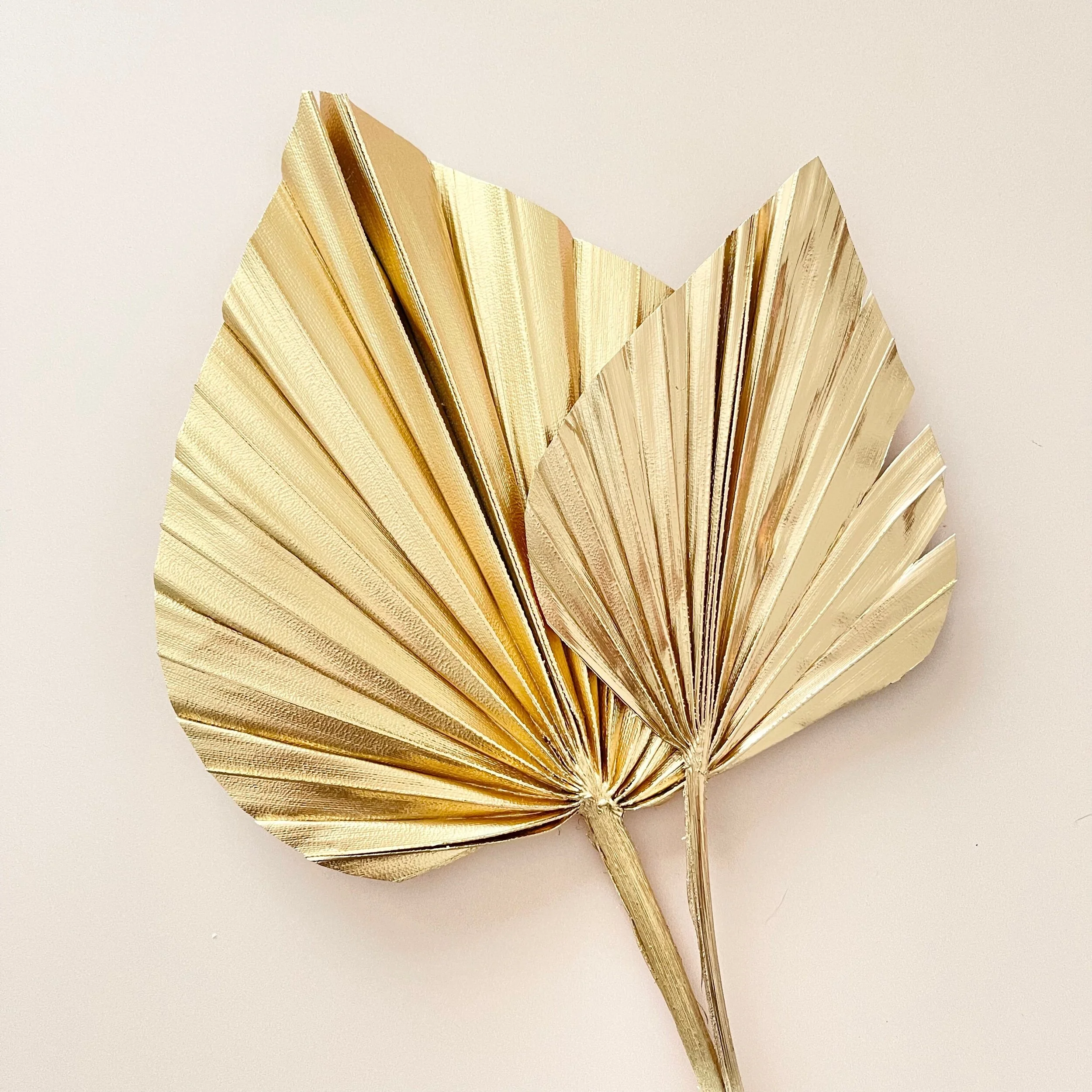 A3D812C4-4CA6-45BE-8BB4-936C80F2891C