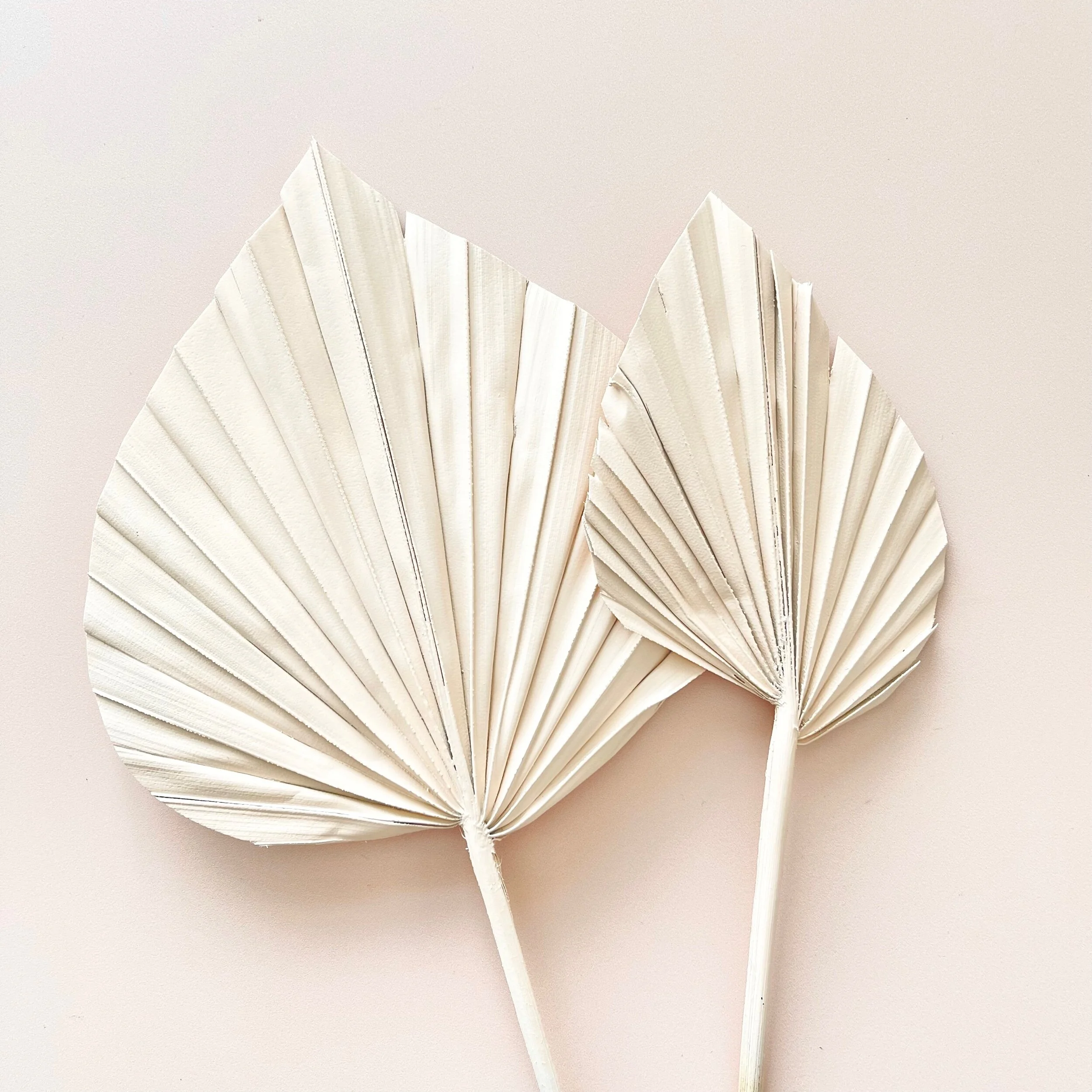 38B08192-6A29-4785-BBE3-34DA0D223981