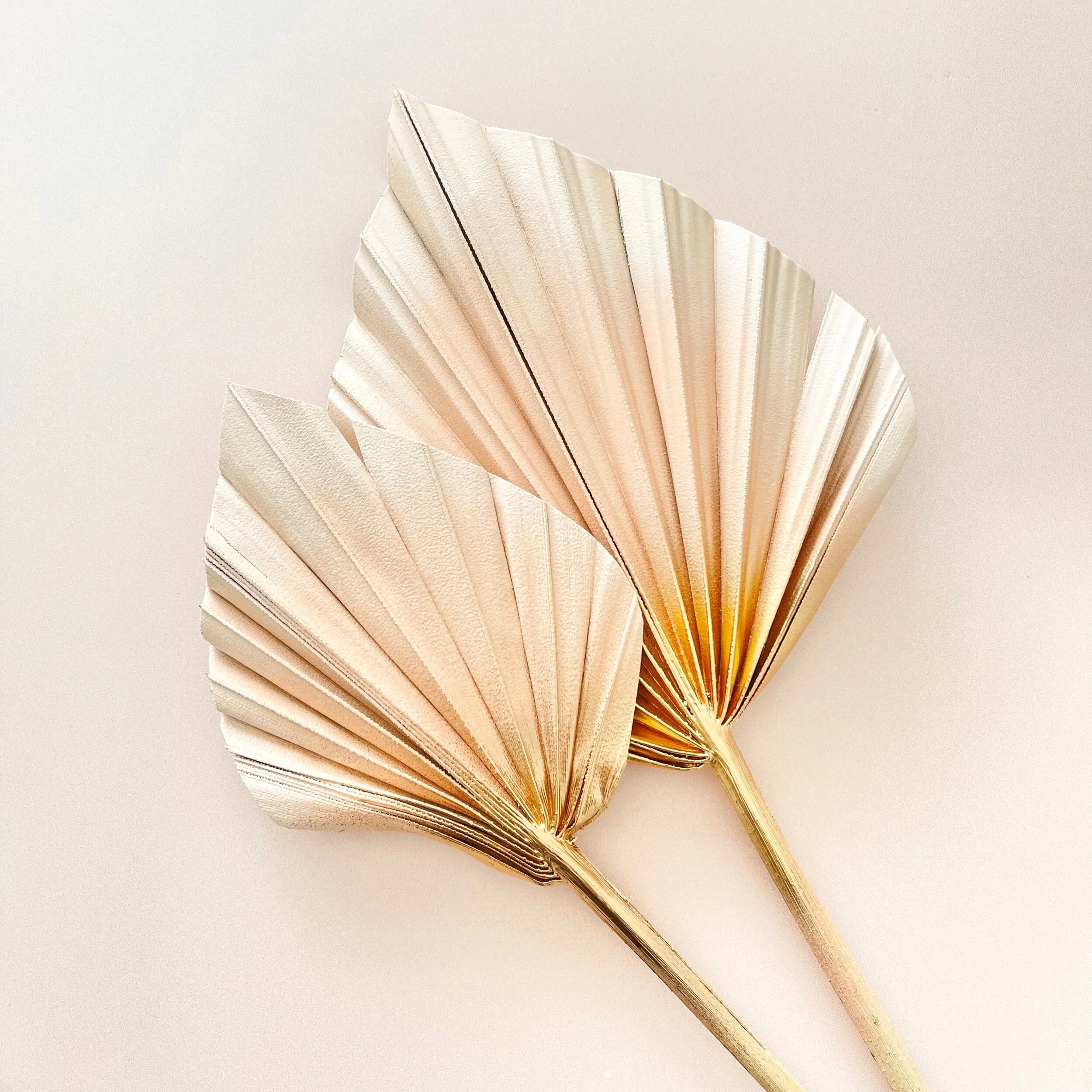 DF5F6EEB-1D4F-4D65-90D8-45334AD7B857